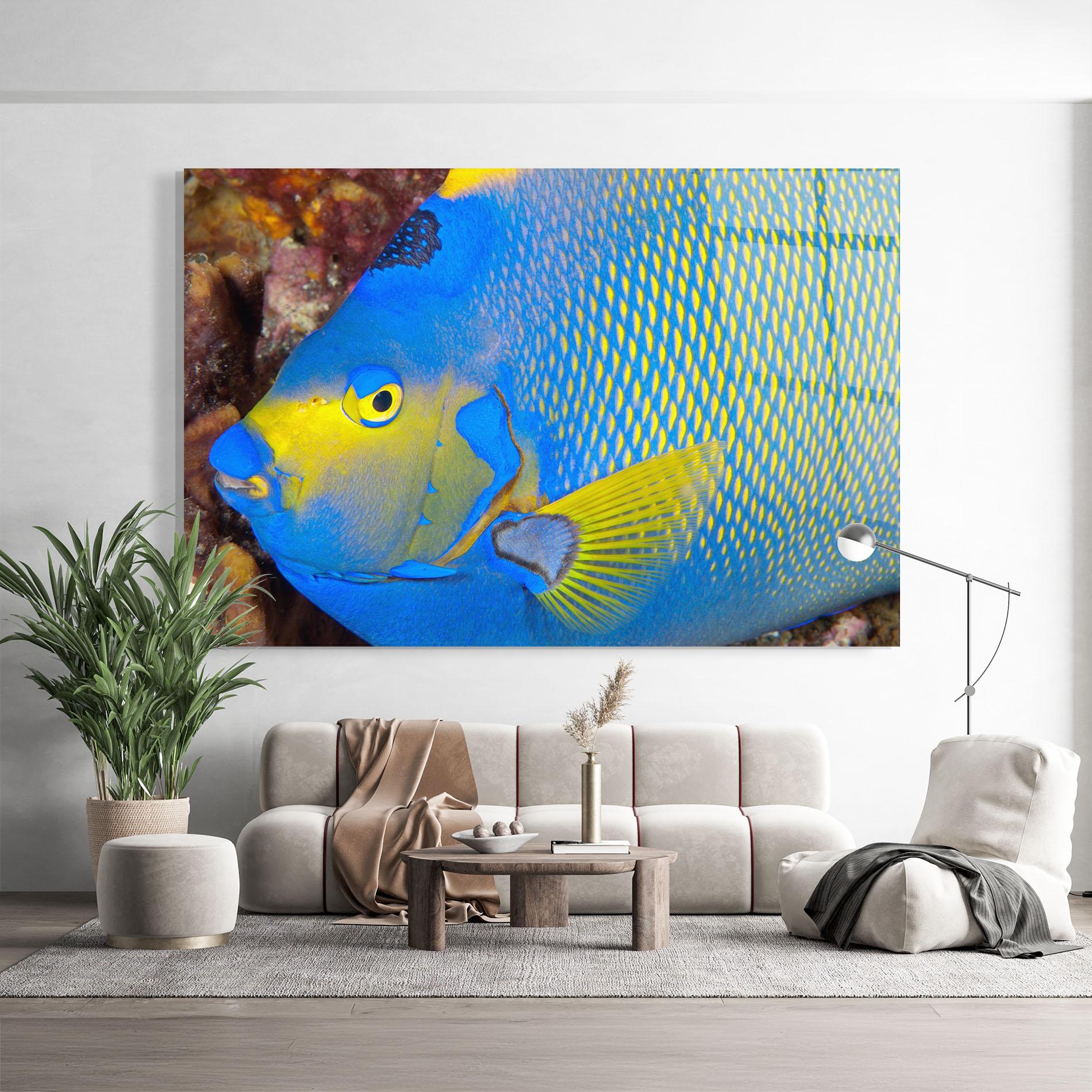 Tablou Sticla Blue Yellow Fish mockup 9