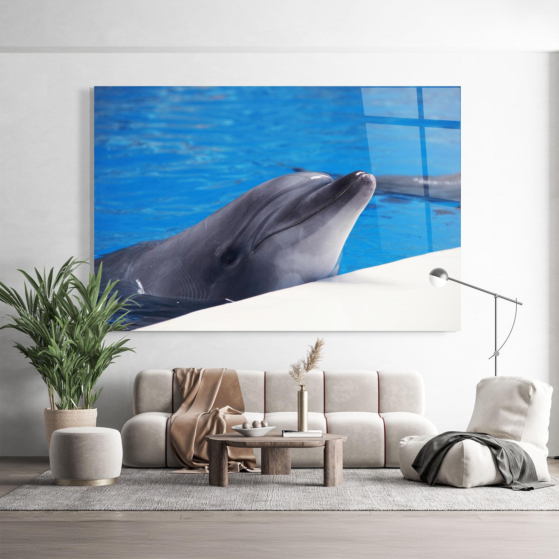 Tablou Sticla Cute Dolphin mockup 9