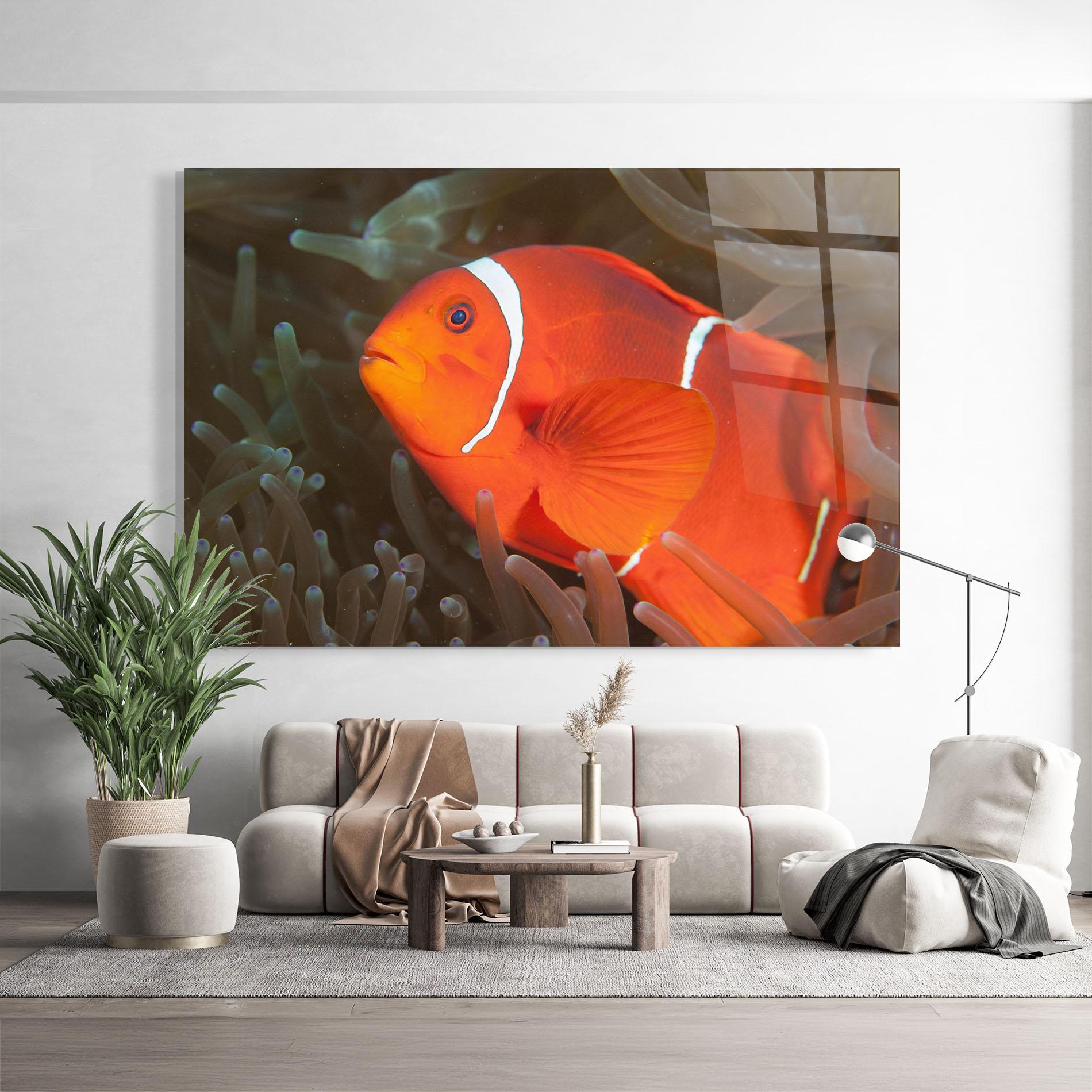 Tablou Sticla Nemo Clownfish mockup 9