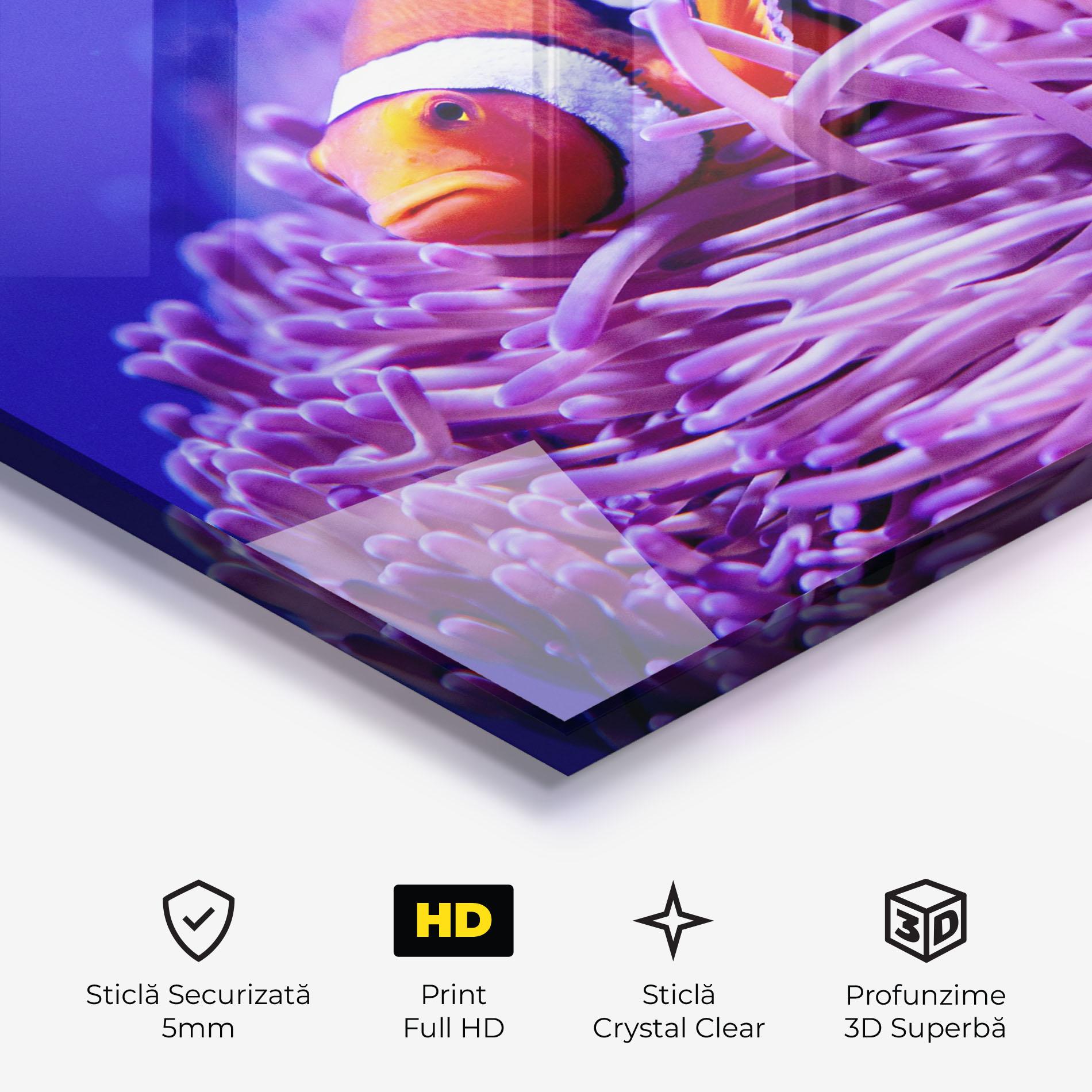 Tablou Sticla Angry Nemo mockup 3