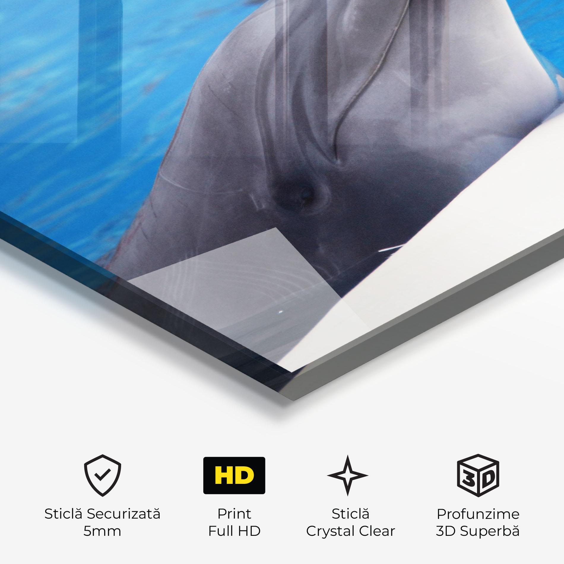 Tablou Sticla Cute Dolphin mockup 3