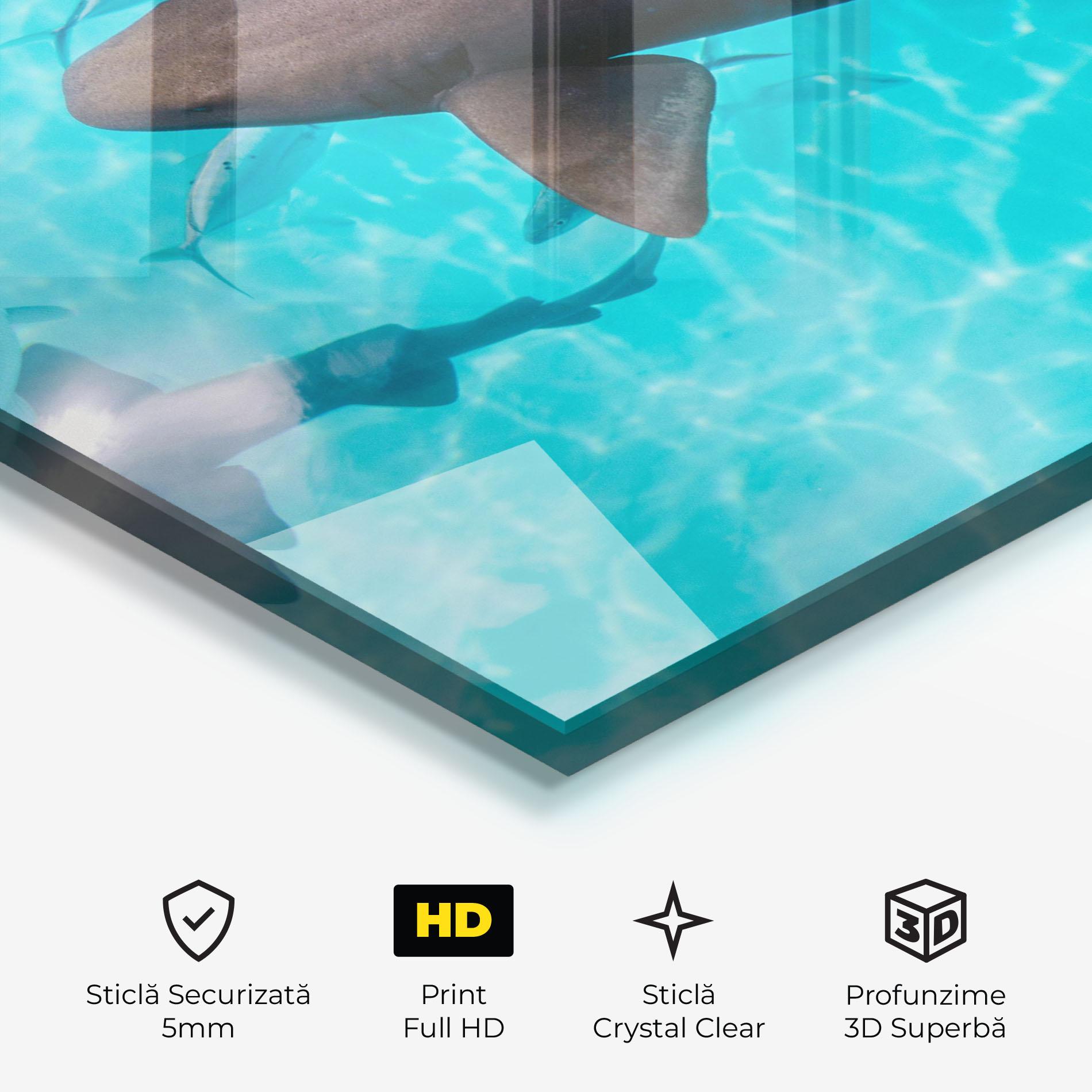 Tablou Sticla Cute Shark mockup 3