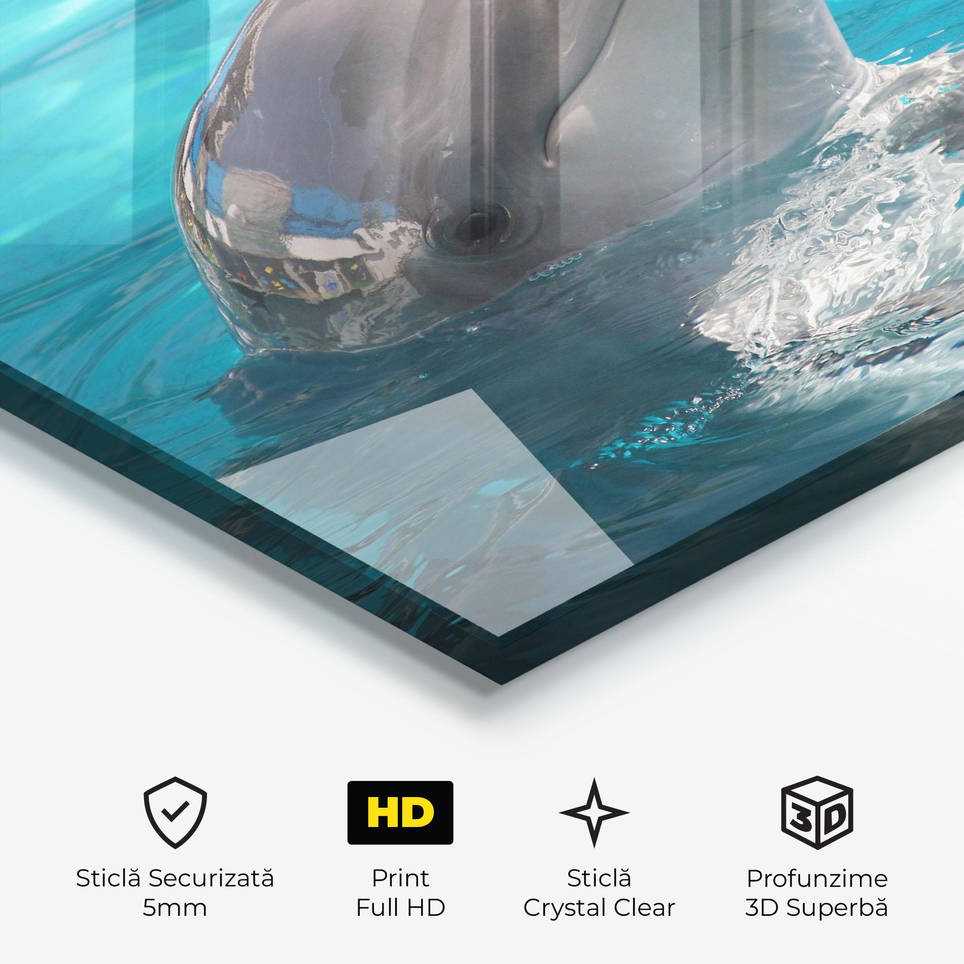Tablou Sticla Dolphin Poses mockup 3