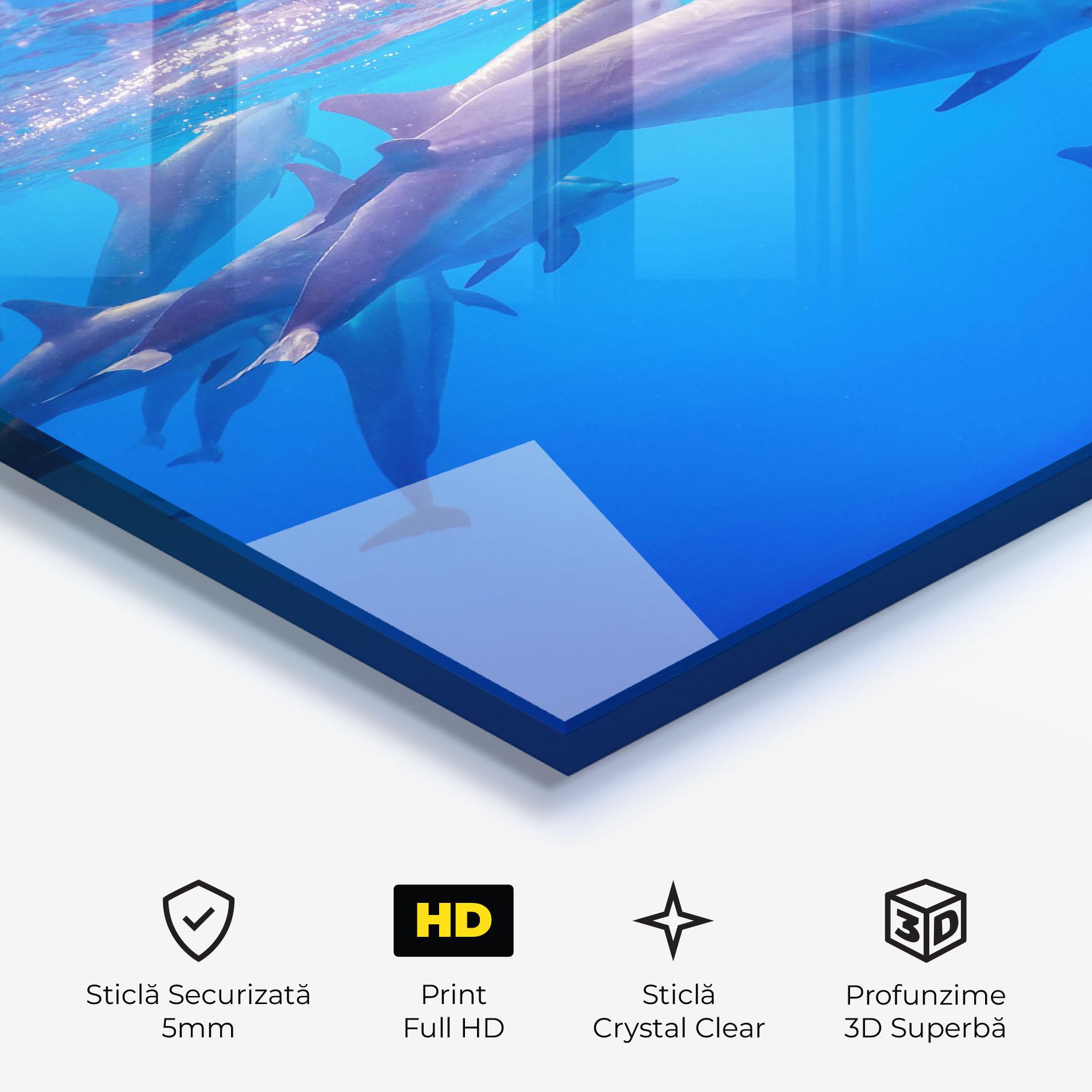 Tablou Sticla Dolphin Family mockup 3