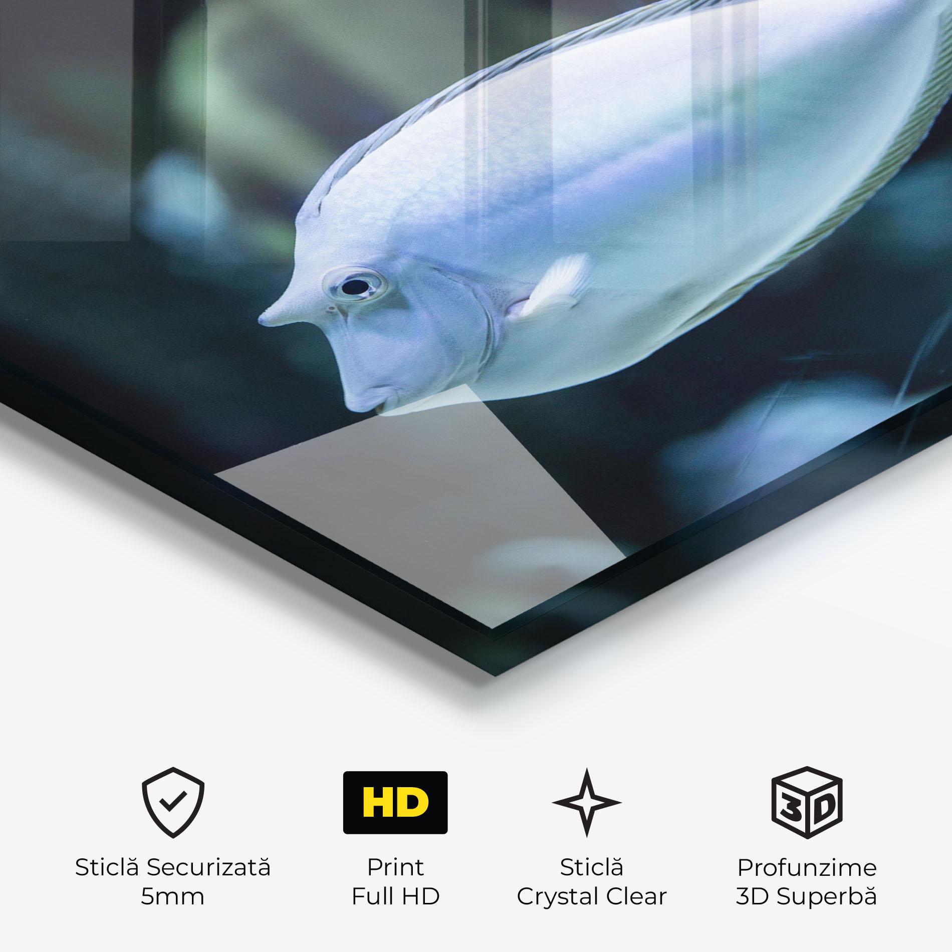 Tablou Sticla Funny Face Fish mockup 3