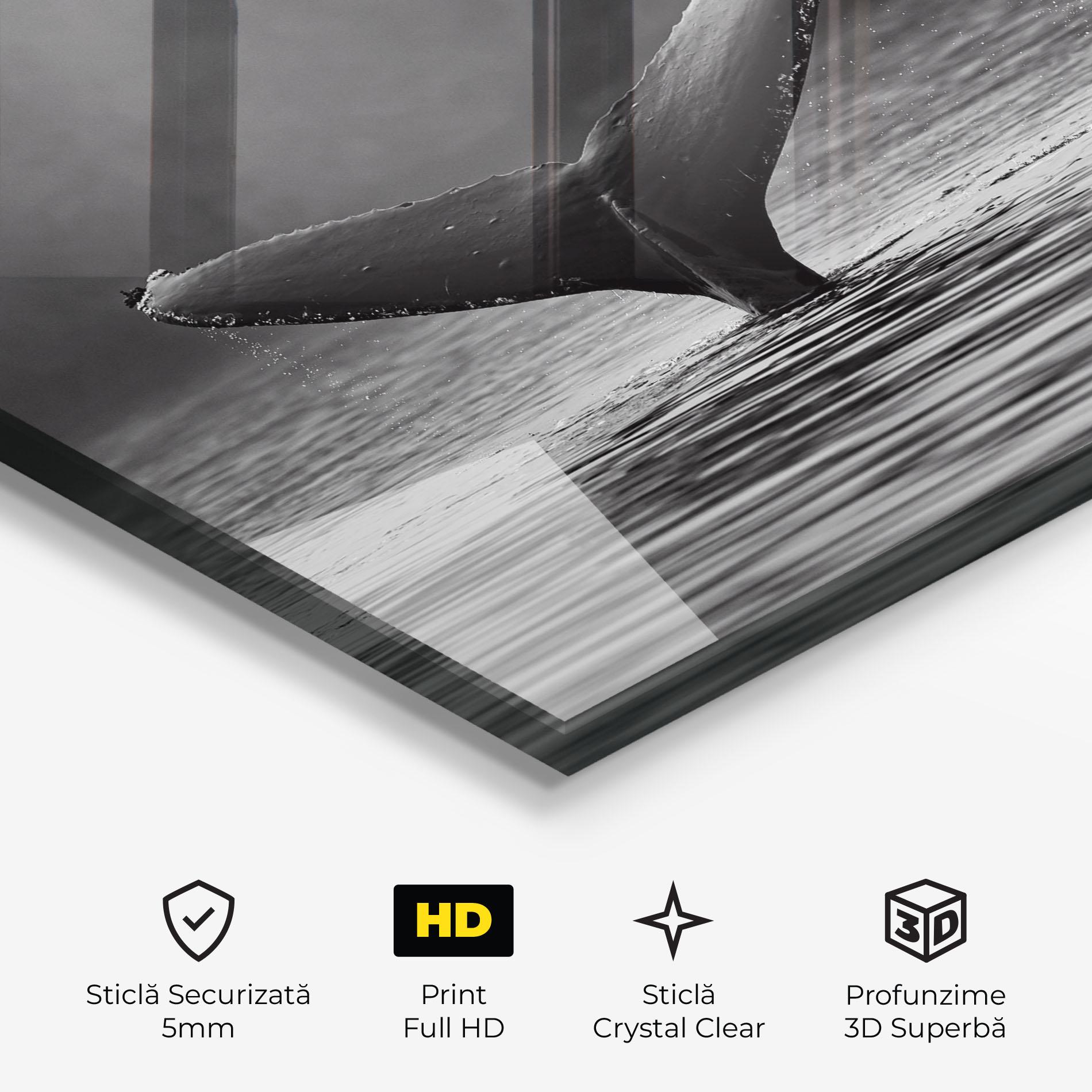 Tablou Sticla Grey Tail mockup 3