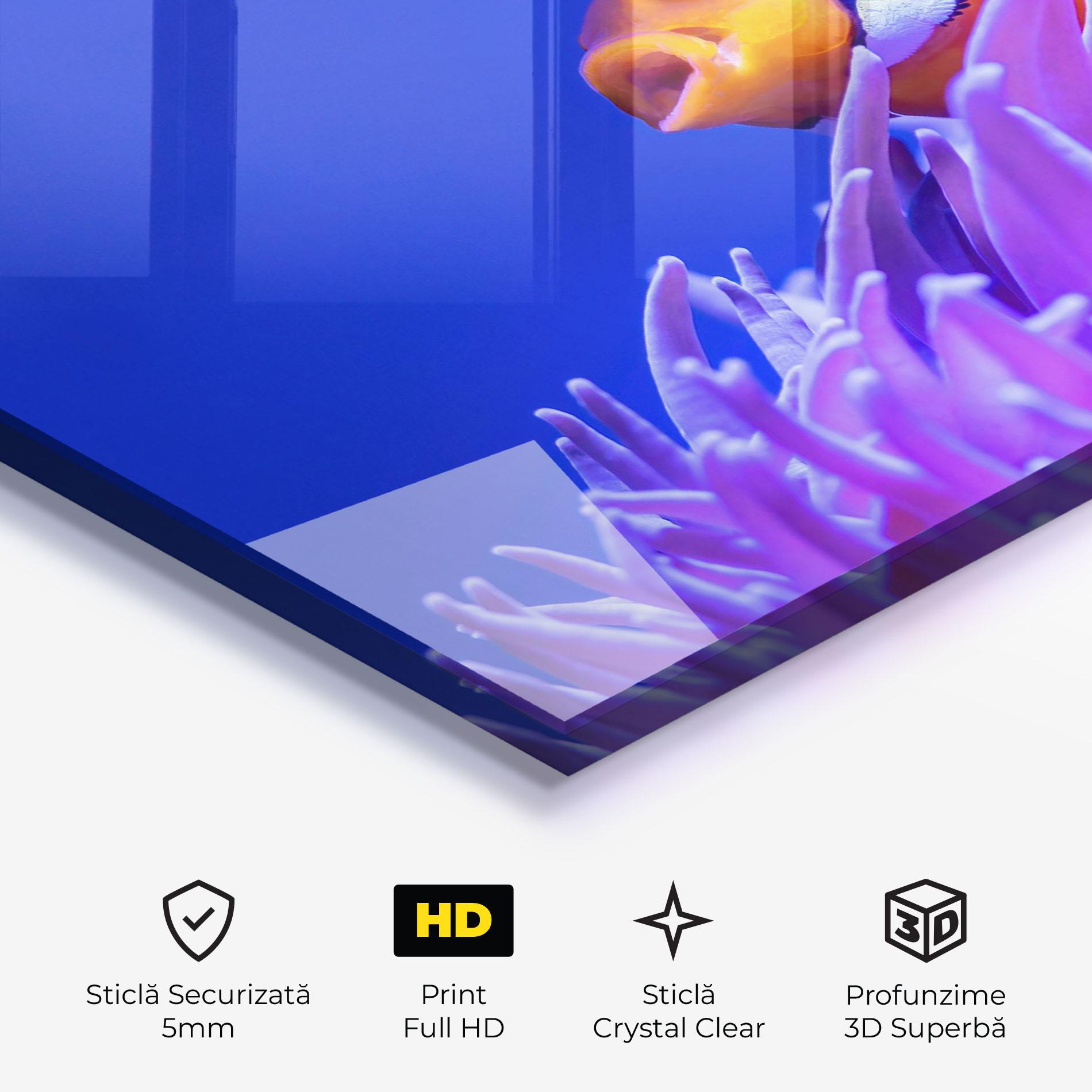 Tablou Sticla Hungry Nemo mockup 3