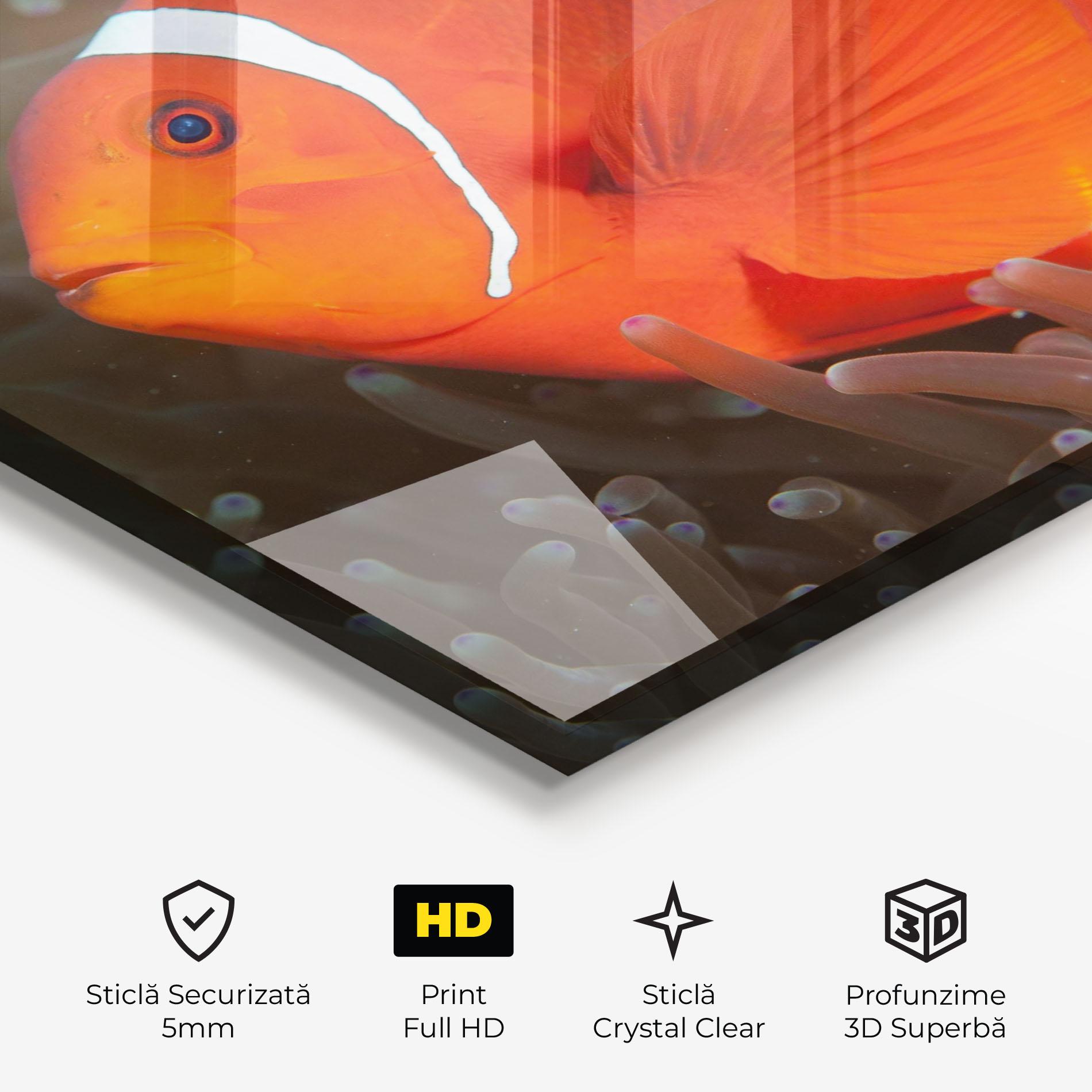 Tablou Sticla Nemo Clownfish mockup 3