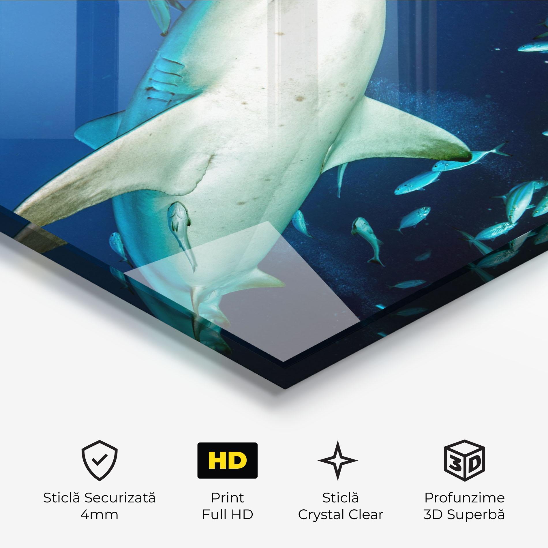 Tablou Sticla Bull Shark mockup 3