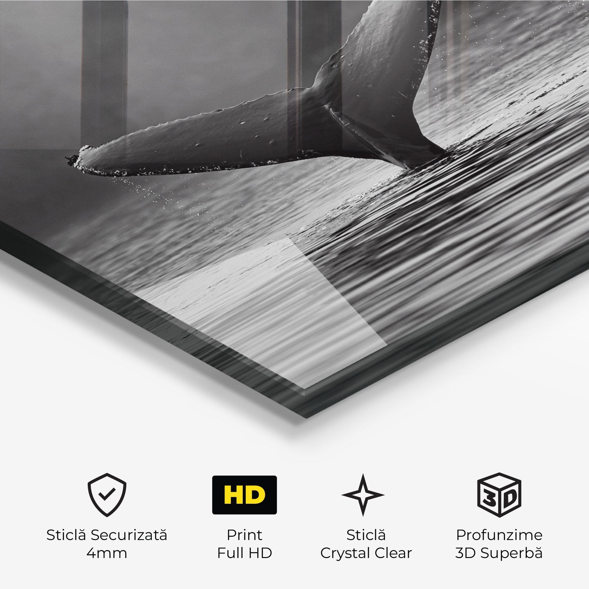 Tablou Sticla Grey Tail mockup 3