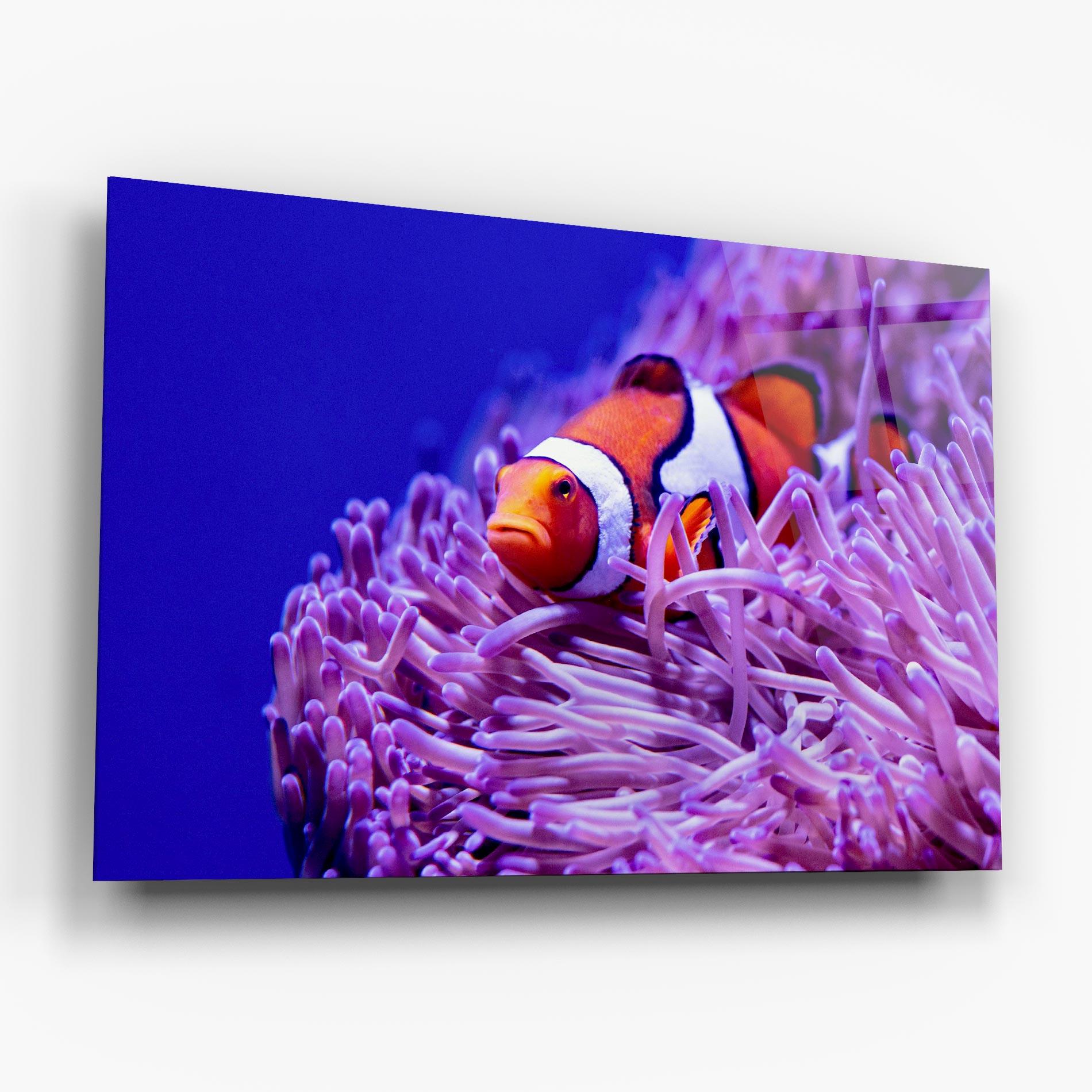 Tablou Sticla Angry Nemo mockup 6