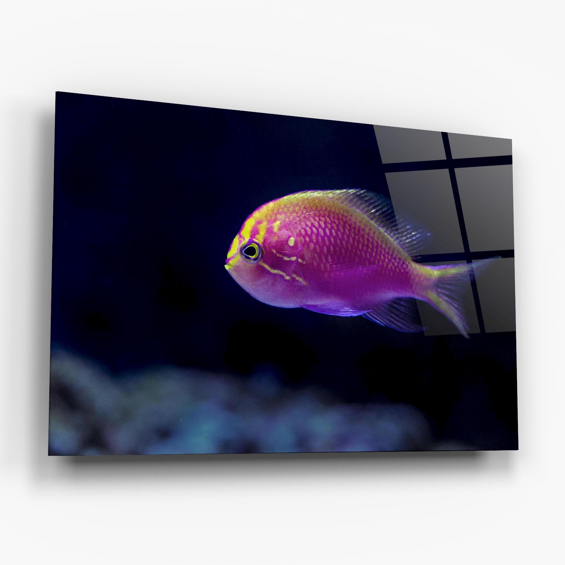 Tablou Sticla Angry Pink Fish mockup 6