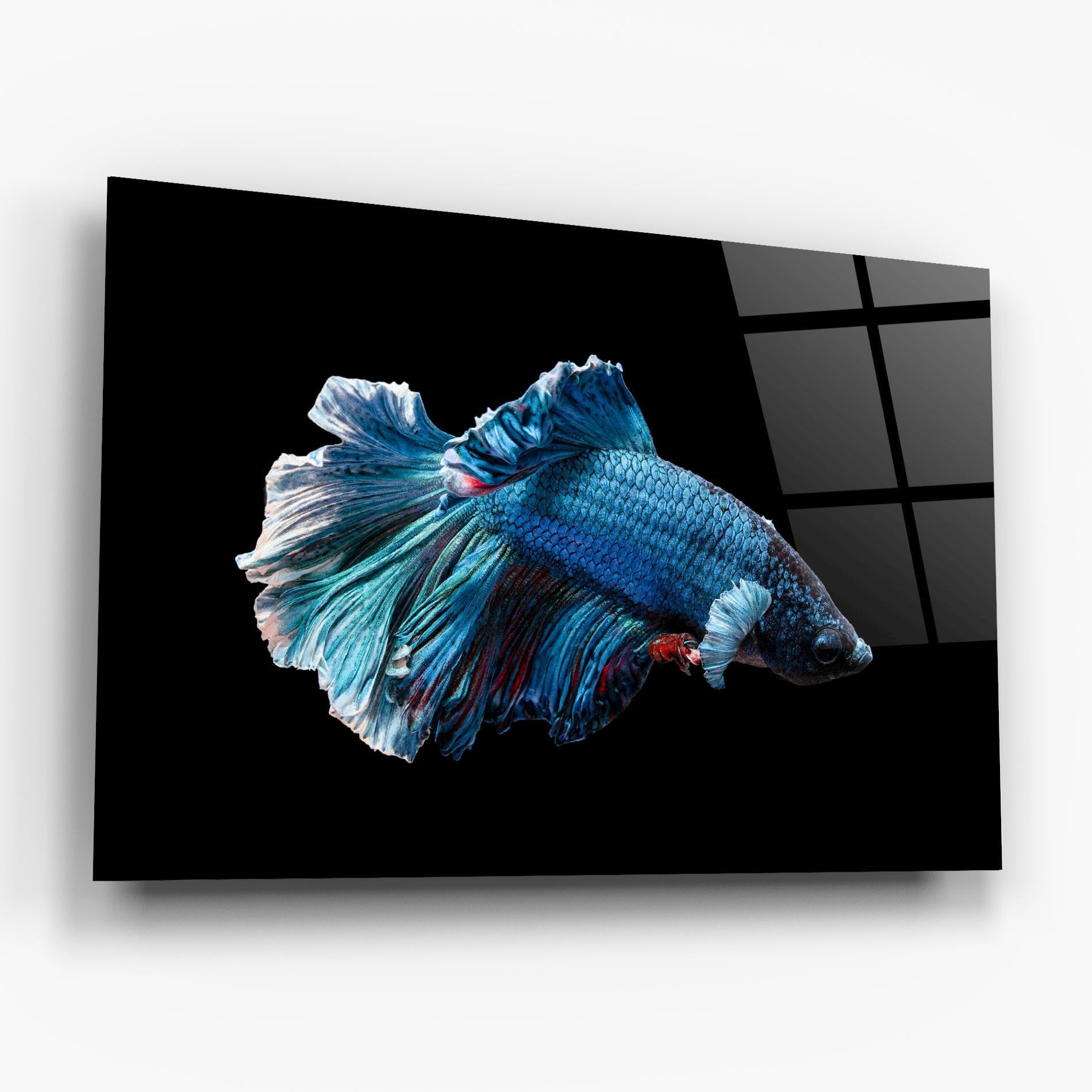 Tablou Sticla Blue Betta mockup 6