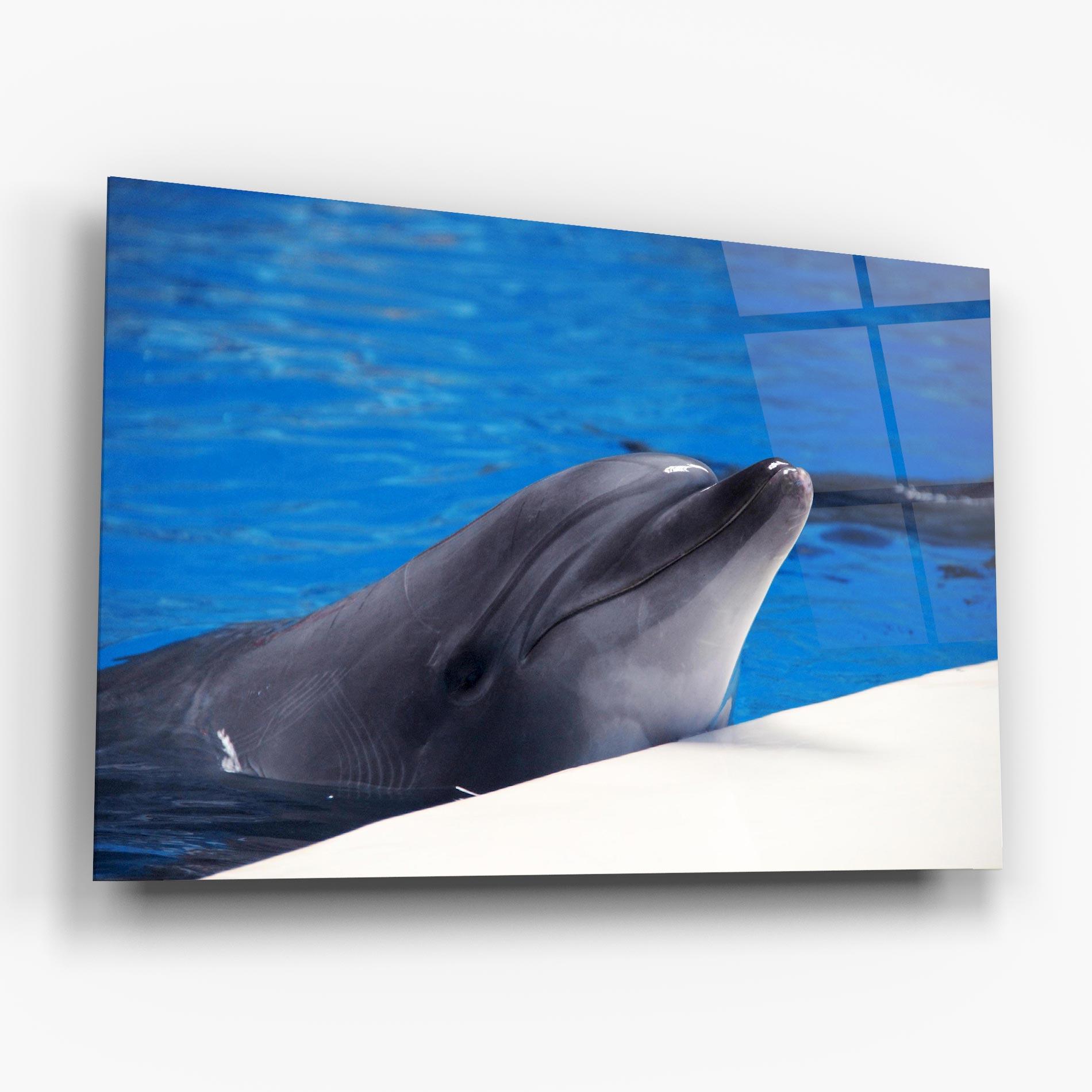 Tablou Sticla Cute Dolphin mockup 6