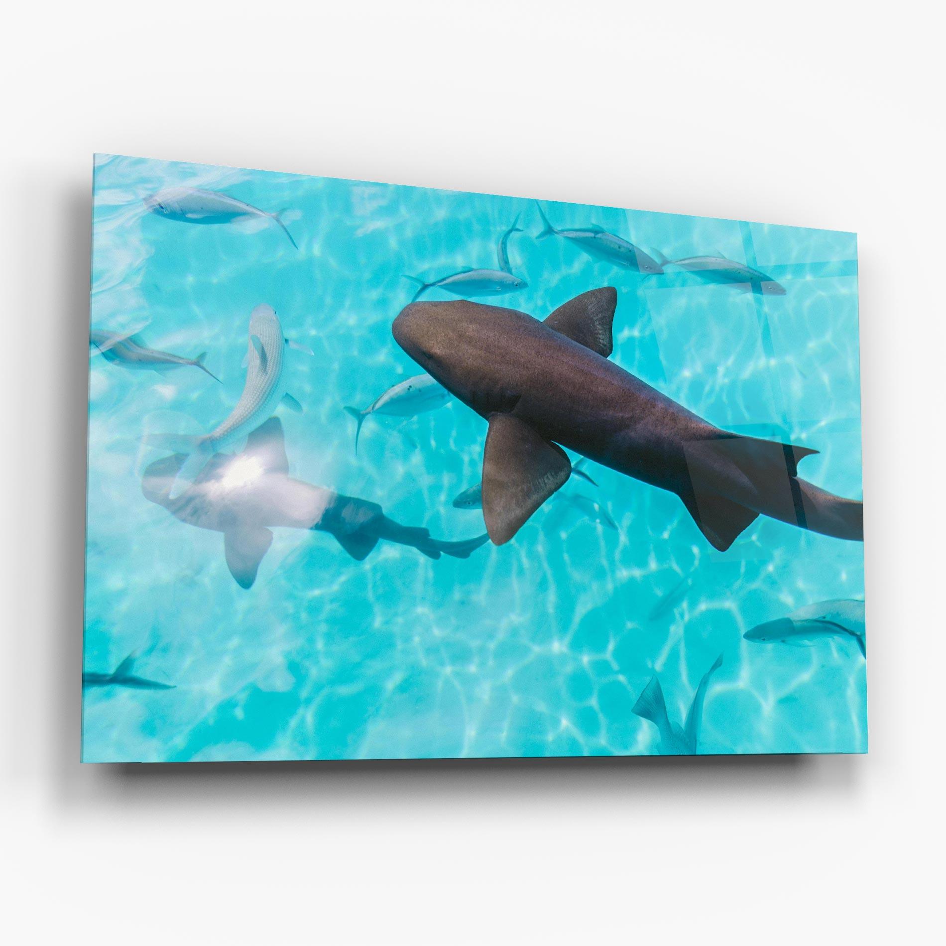 Tablou Sticla Cute Shark mockup 6