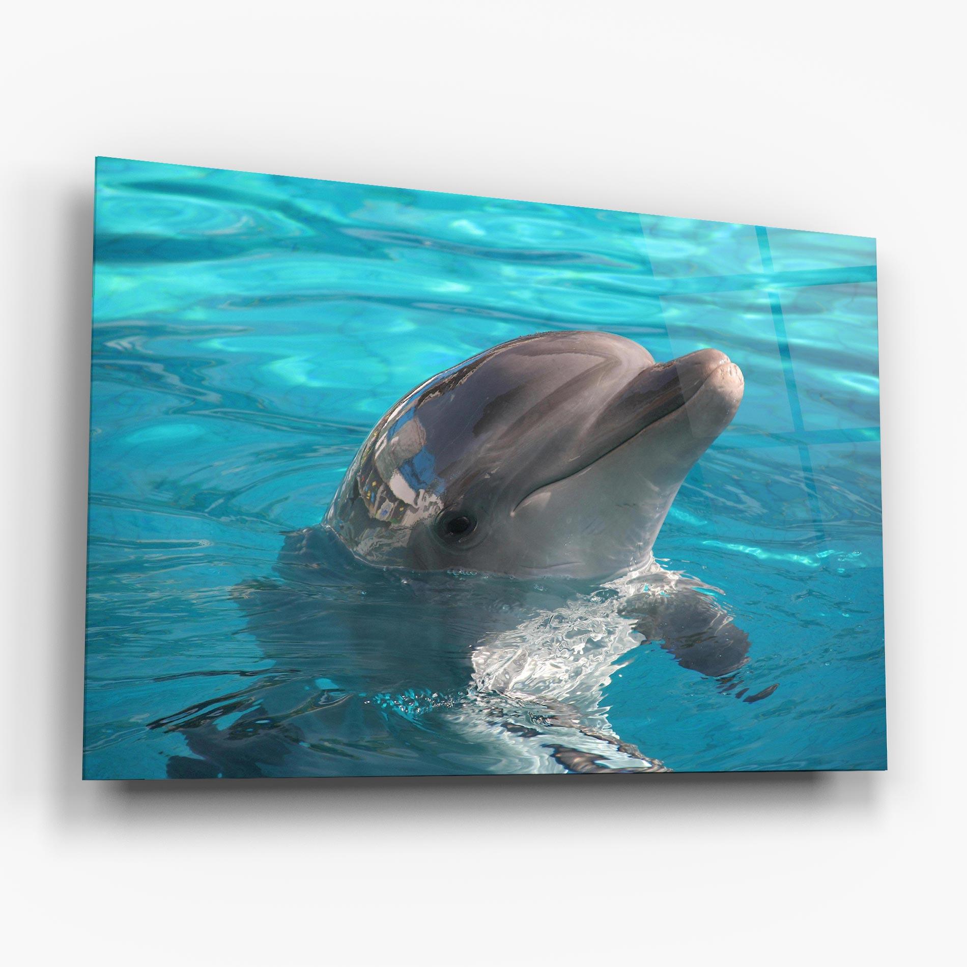 Tablou Sticla Dolphin Poses mockup 6