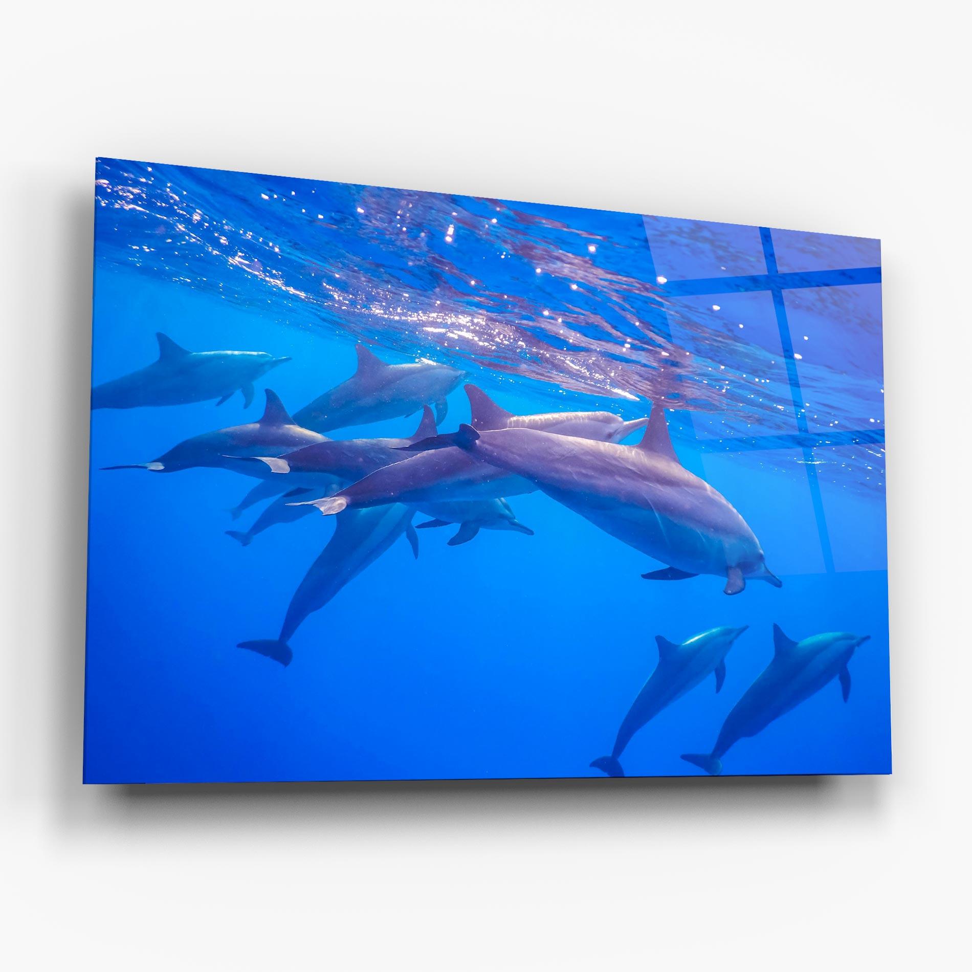 Tablou Sticla Dolphin Family mockup 6