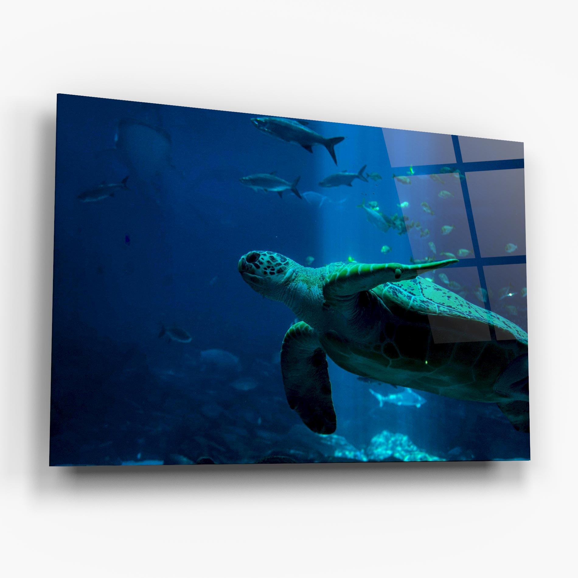 Tablou Sticla Green Turtule mockup 6