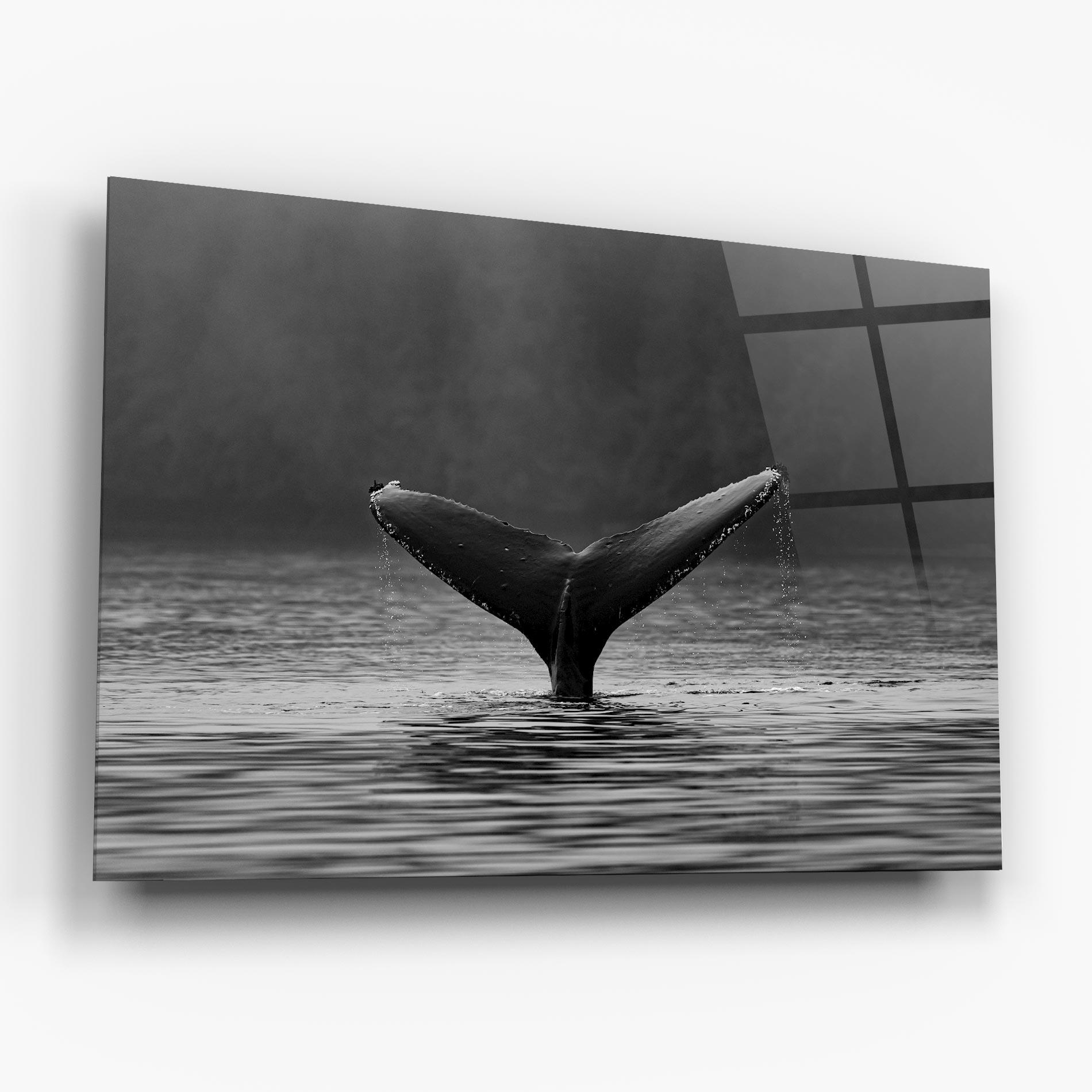 Tablou Sticla Grey Tail mockup 6