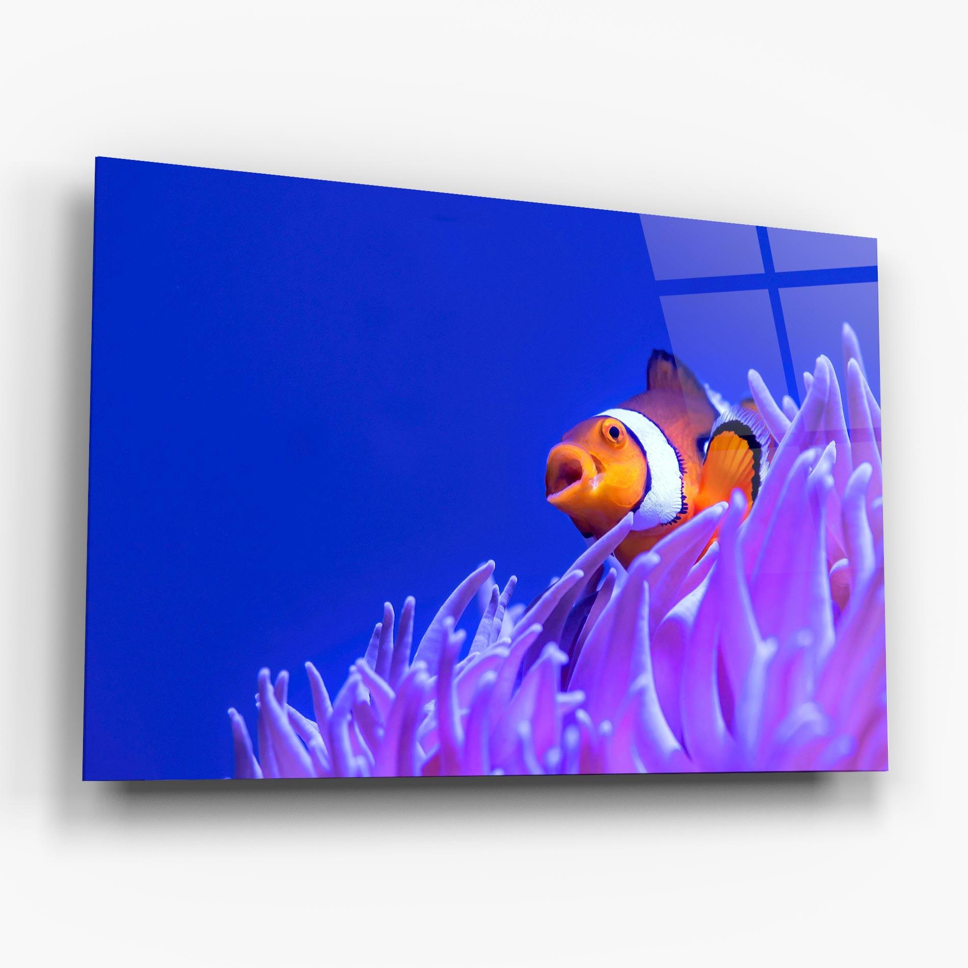 Tablou Sticla Hungry Nemo mockup 6