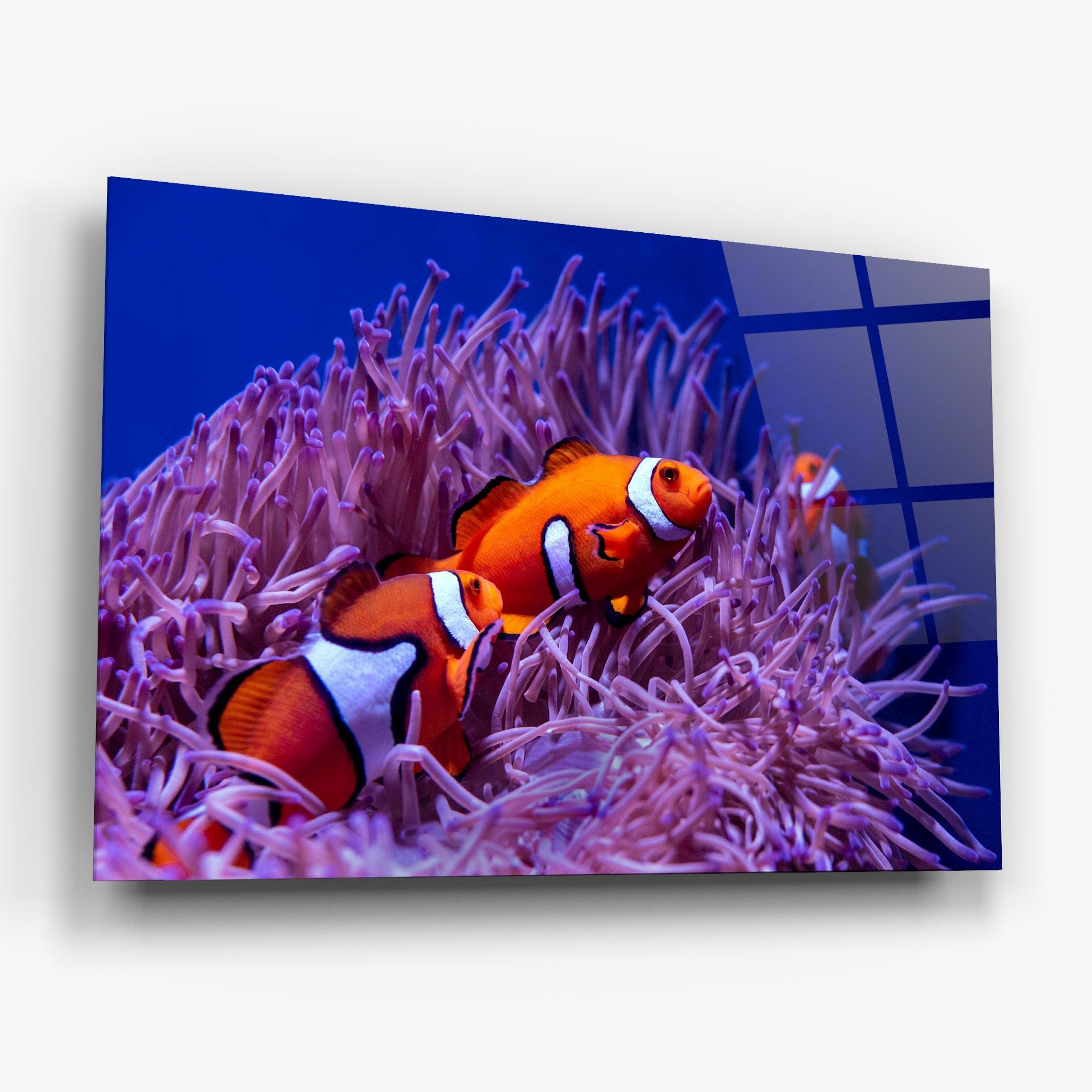 Tablou Sticla Nemo Family mockup 6