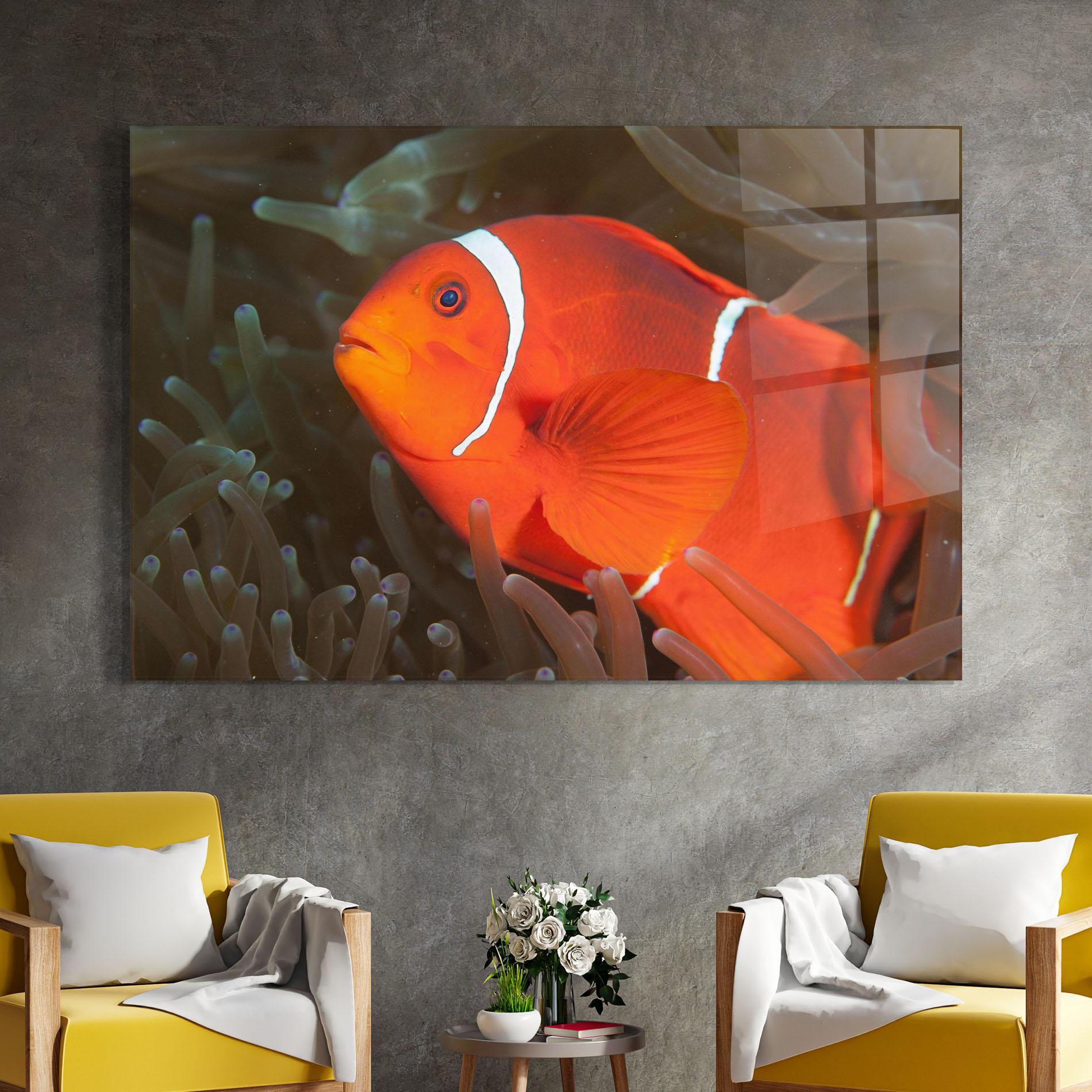 Tablou Sticla Nemo Clownfish mockup 4