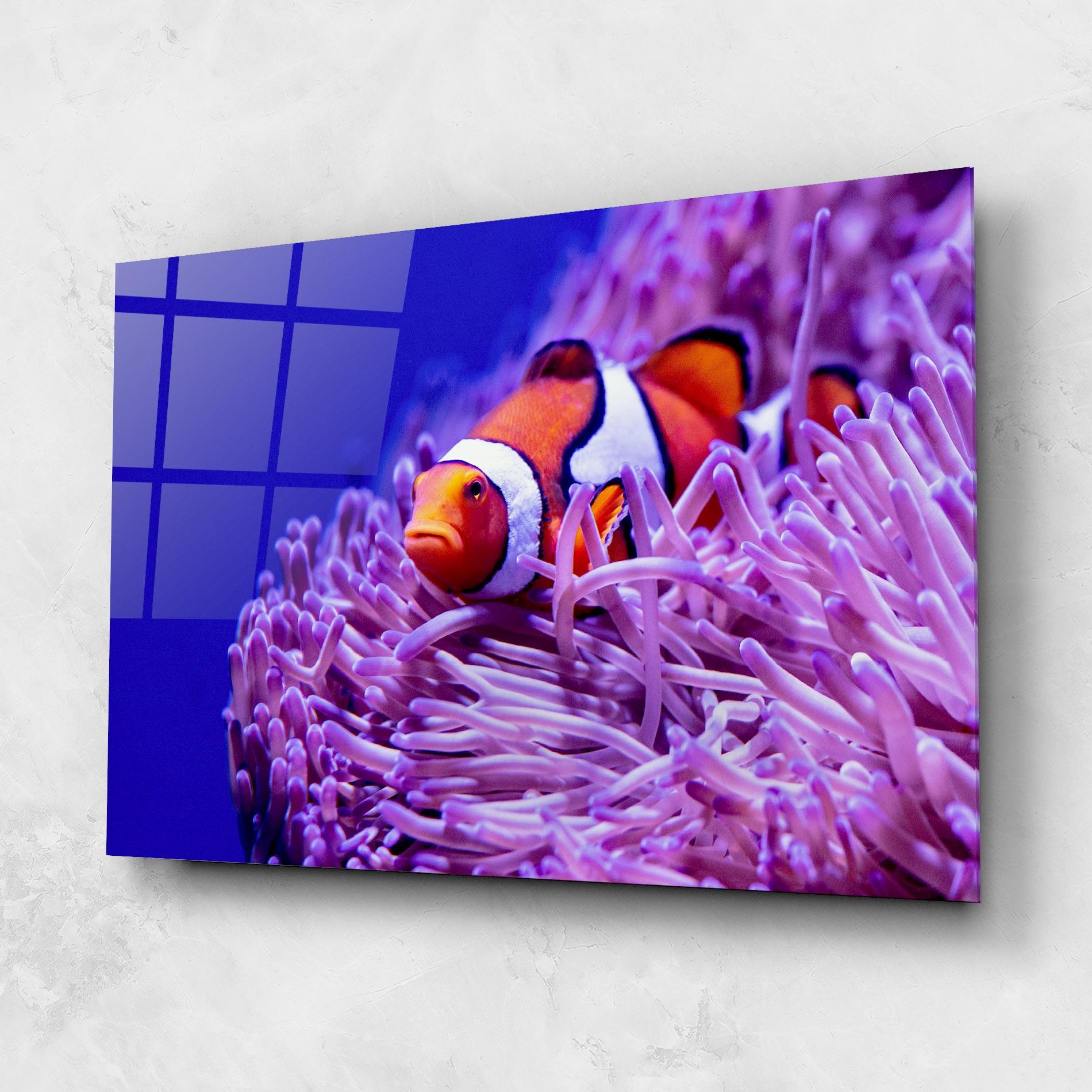 Tablou Sticla Angry Nemo mockup 1