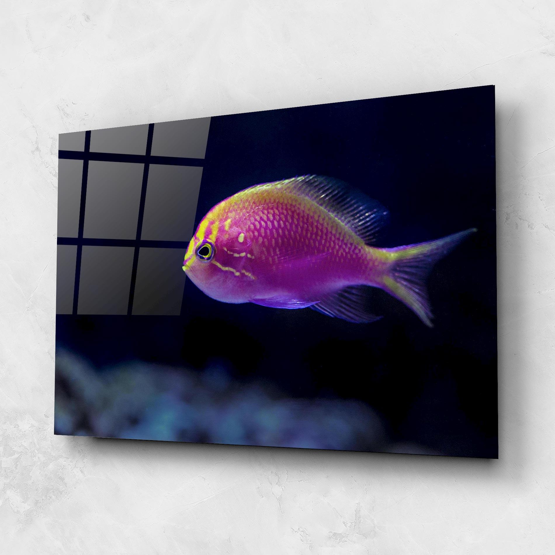 Tablou Sticla Angry Pink Fish mockup 1
