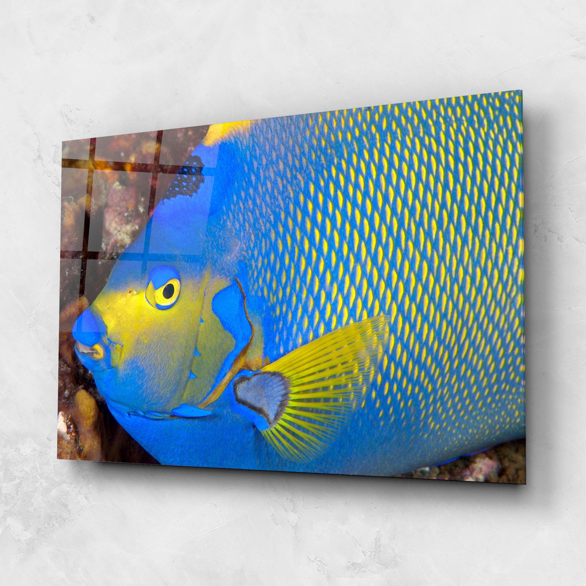 Tablou Sticla Blue Yellow Fish mockup 1