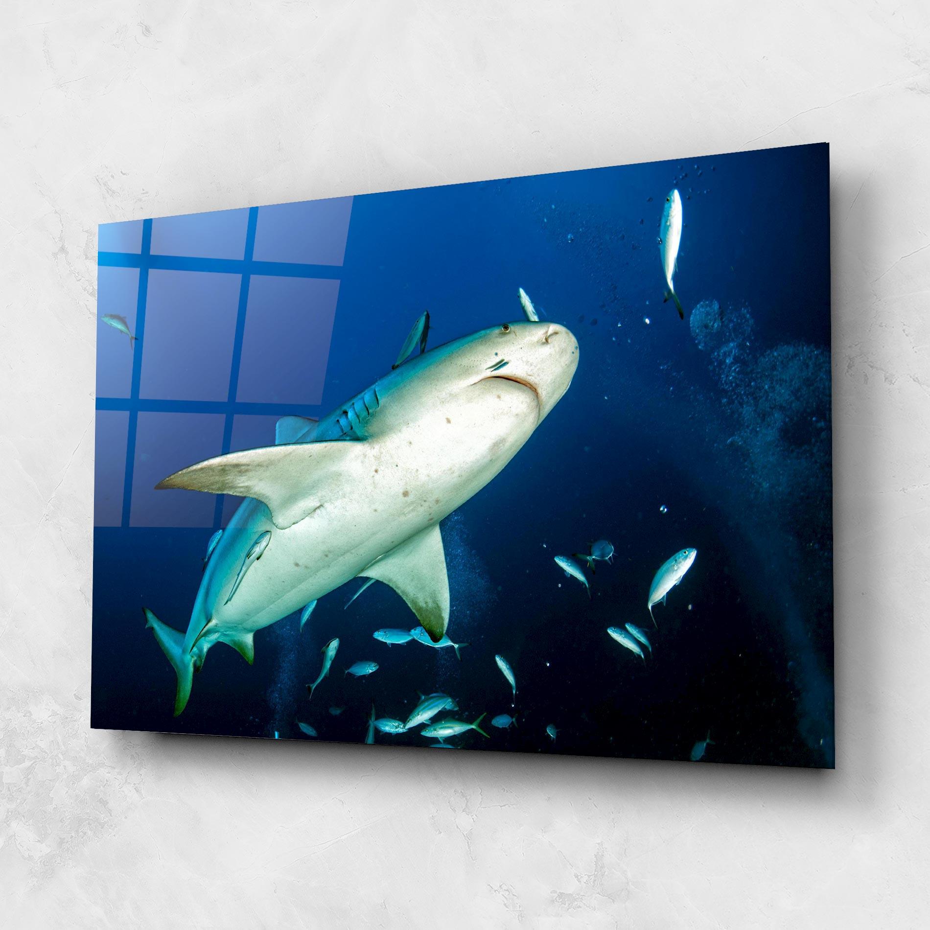 Tablou Sticla Bull Shark mockup 1