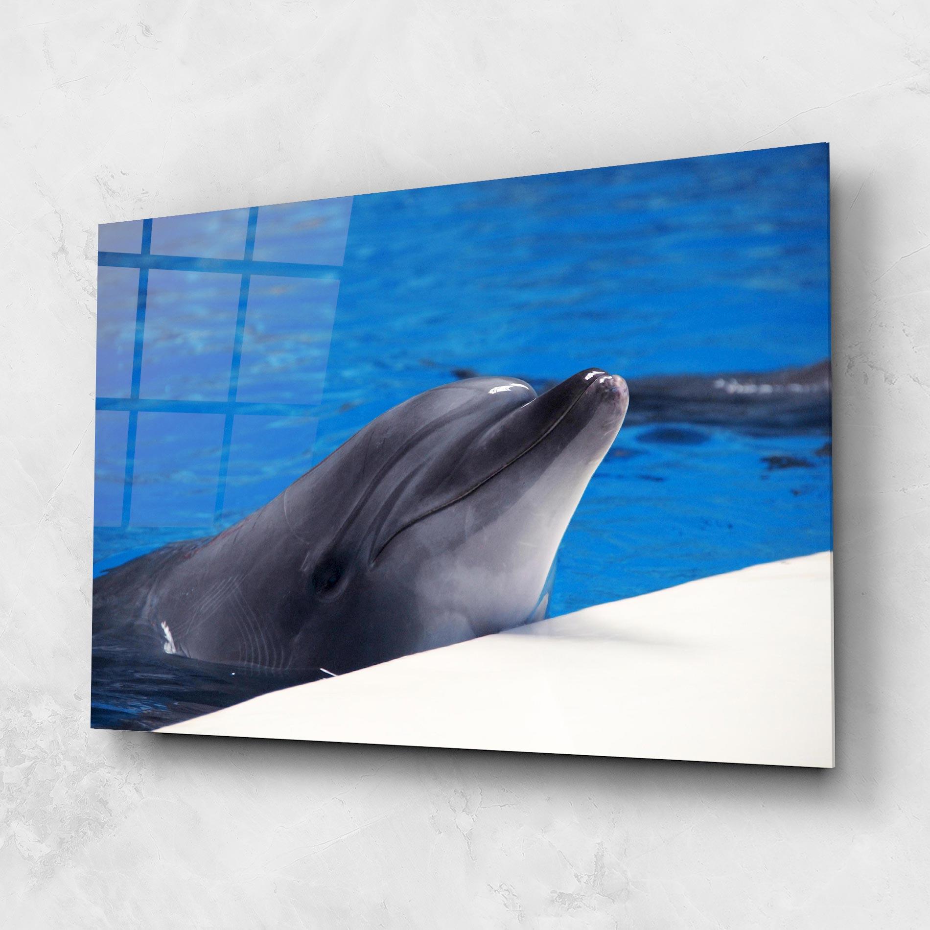 Tablou Sticla Cute Dolphin mockup 1