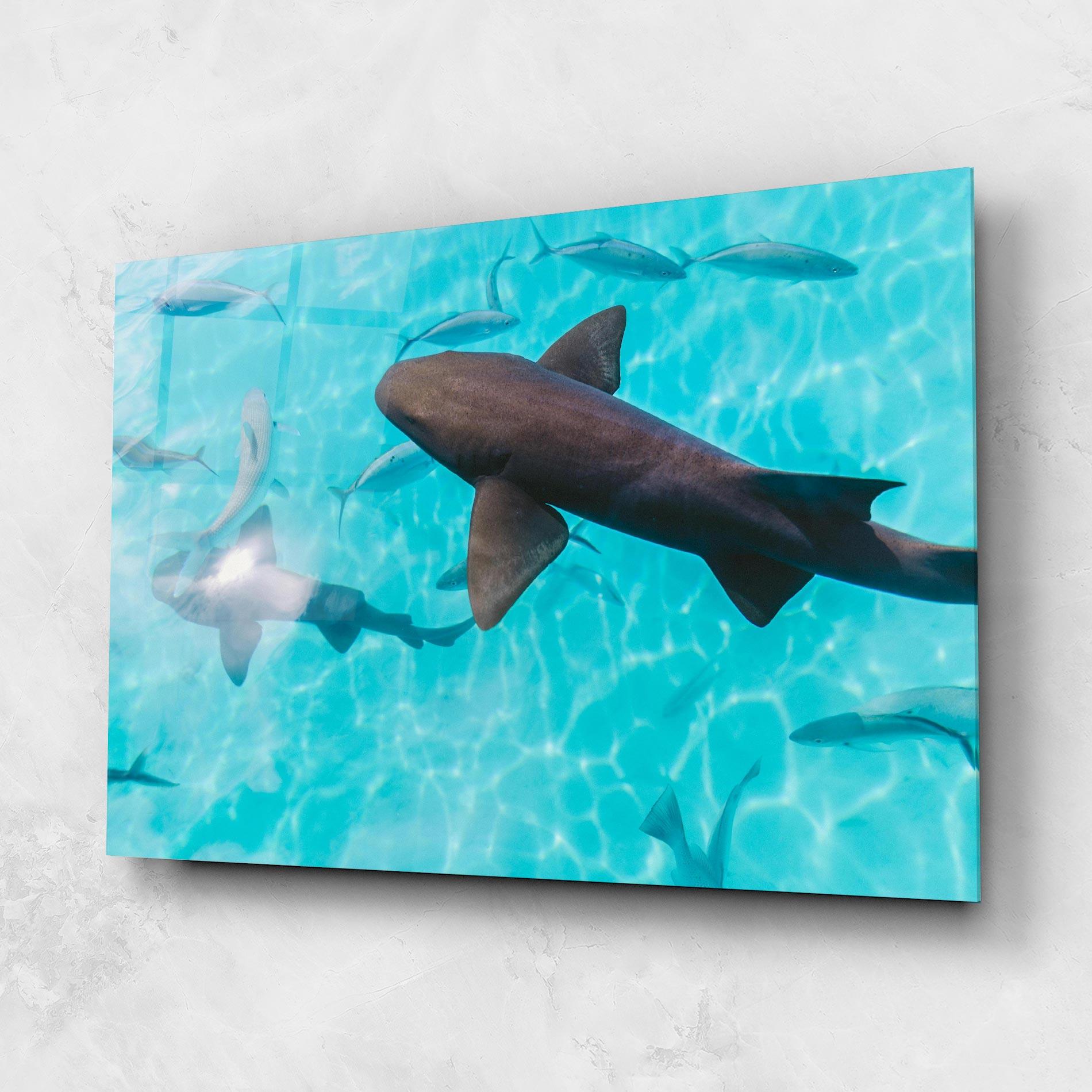 Tablou Sticla Cute Shark mockup 1