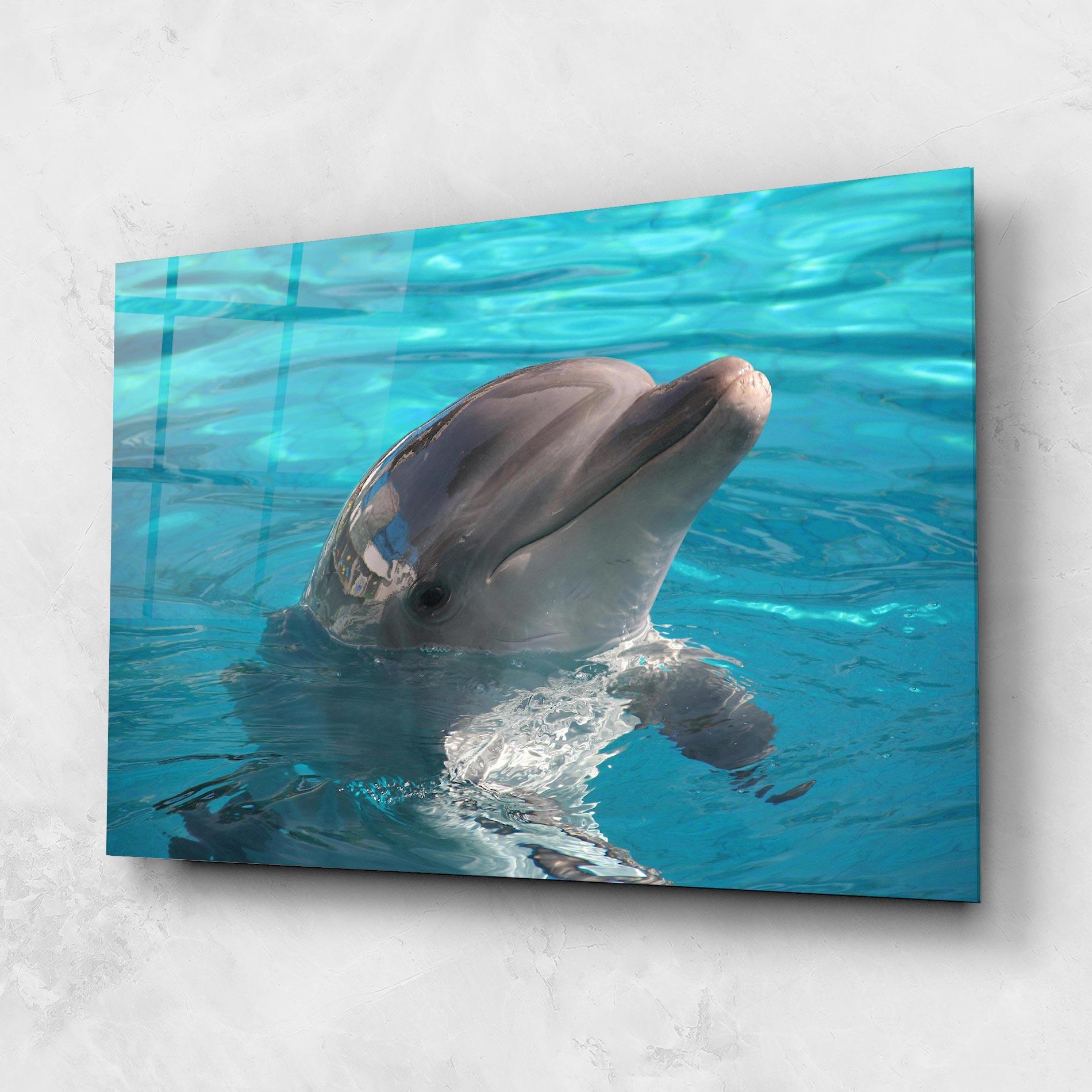 Tablou Sticla Dolphin Poses mockup 1