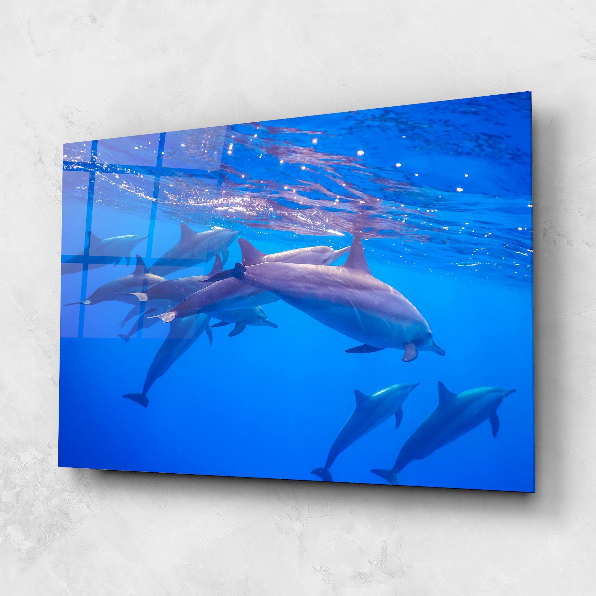 Tablou Sticla Dolphin Family mockup 1