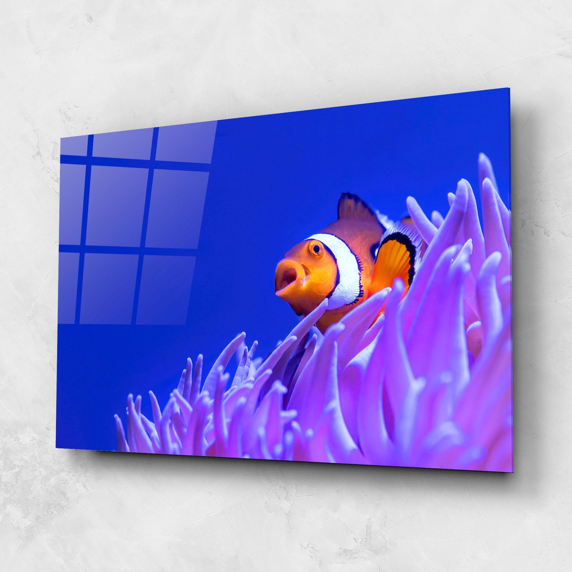 Tablou Sticla Hungry Nemo mockup 1