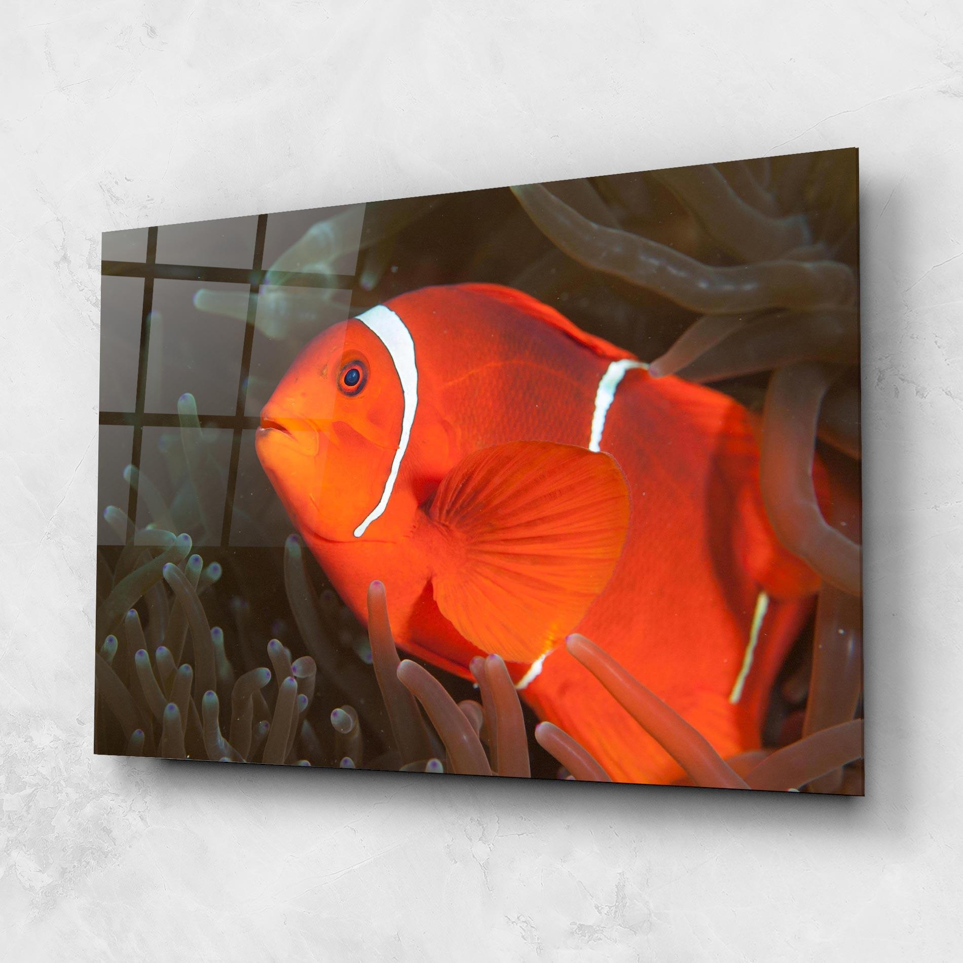 Tablou Sticla Nemo Clownfish mockup 1