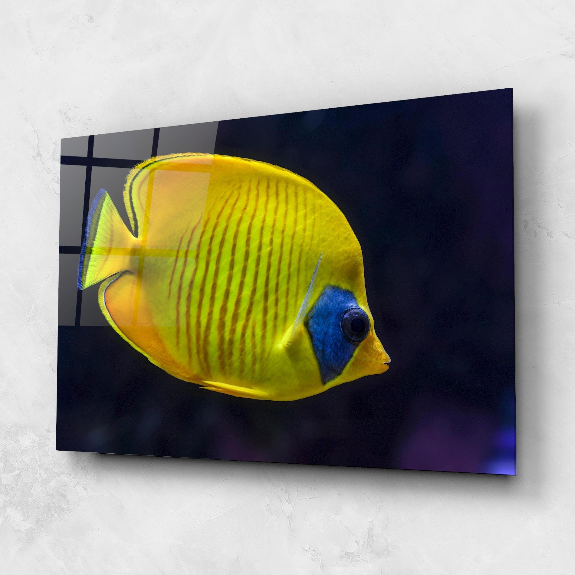 Tablou Sticla Yellow Blue Fish mockup 1