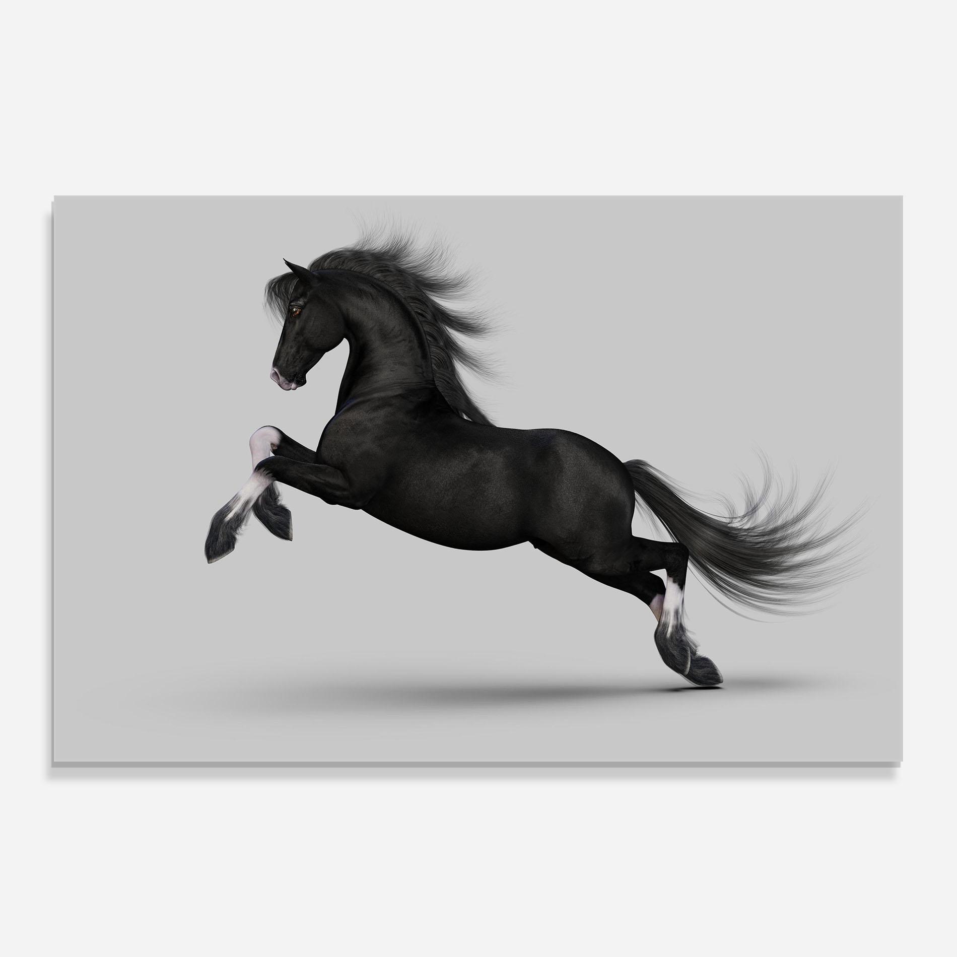 Tablou Sticla Black Horse Galloping mockup 0