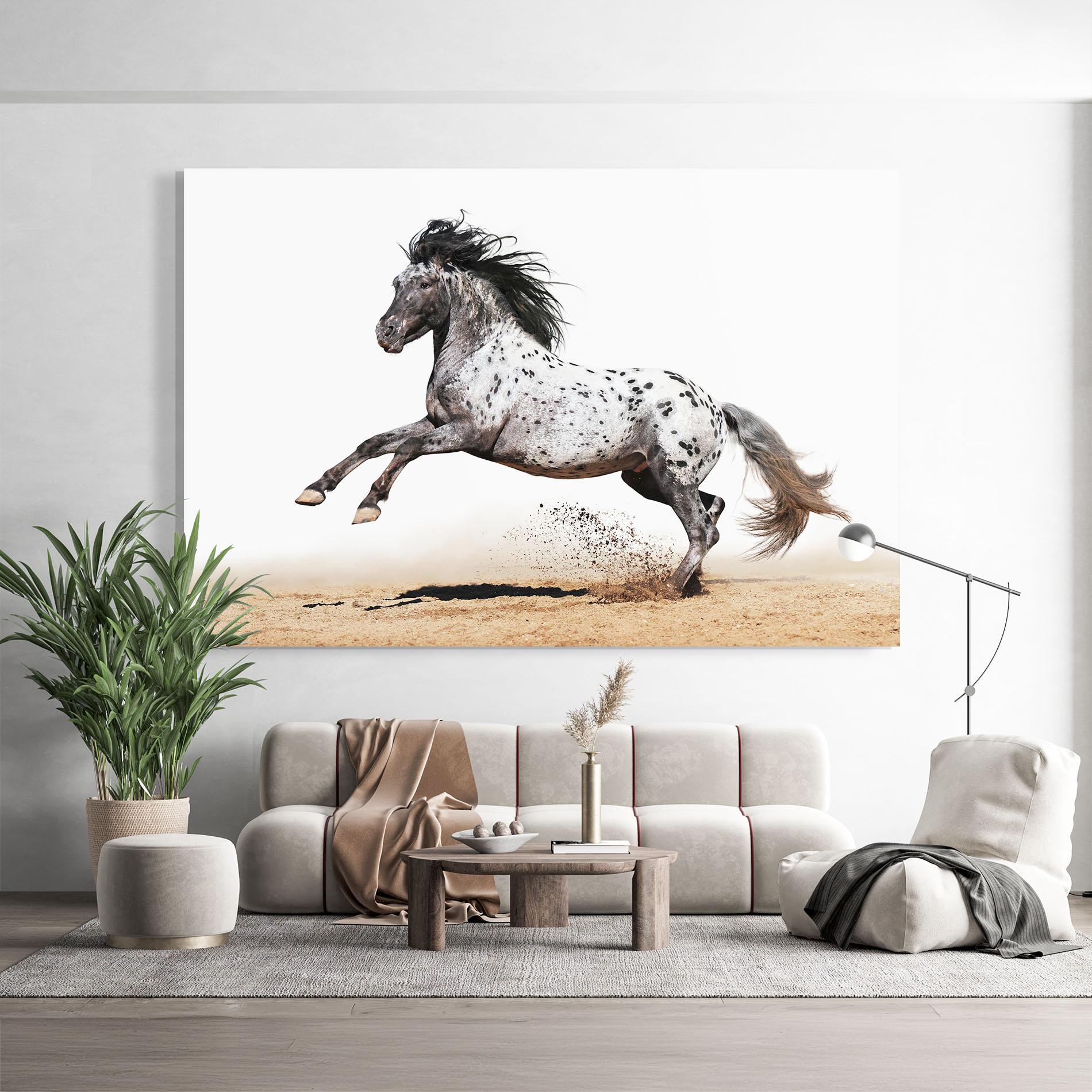 Tablou Sticla Appaloosa Horse Running mockup 9