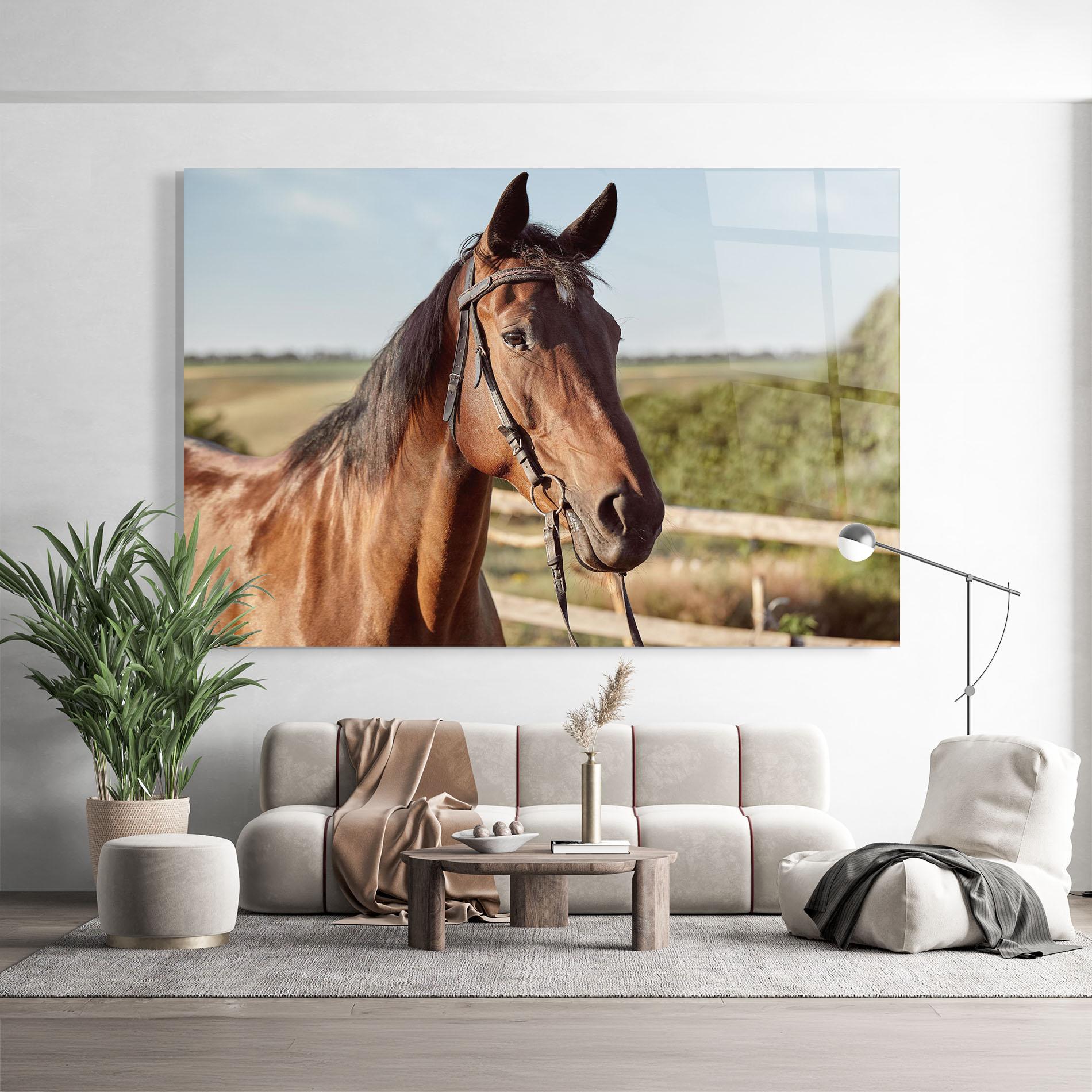 Tablou Sticla Brown Horse Close Up mockup 9