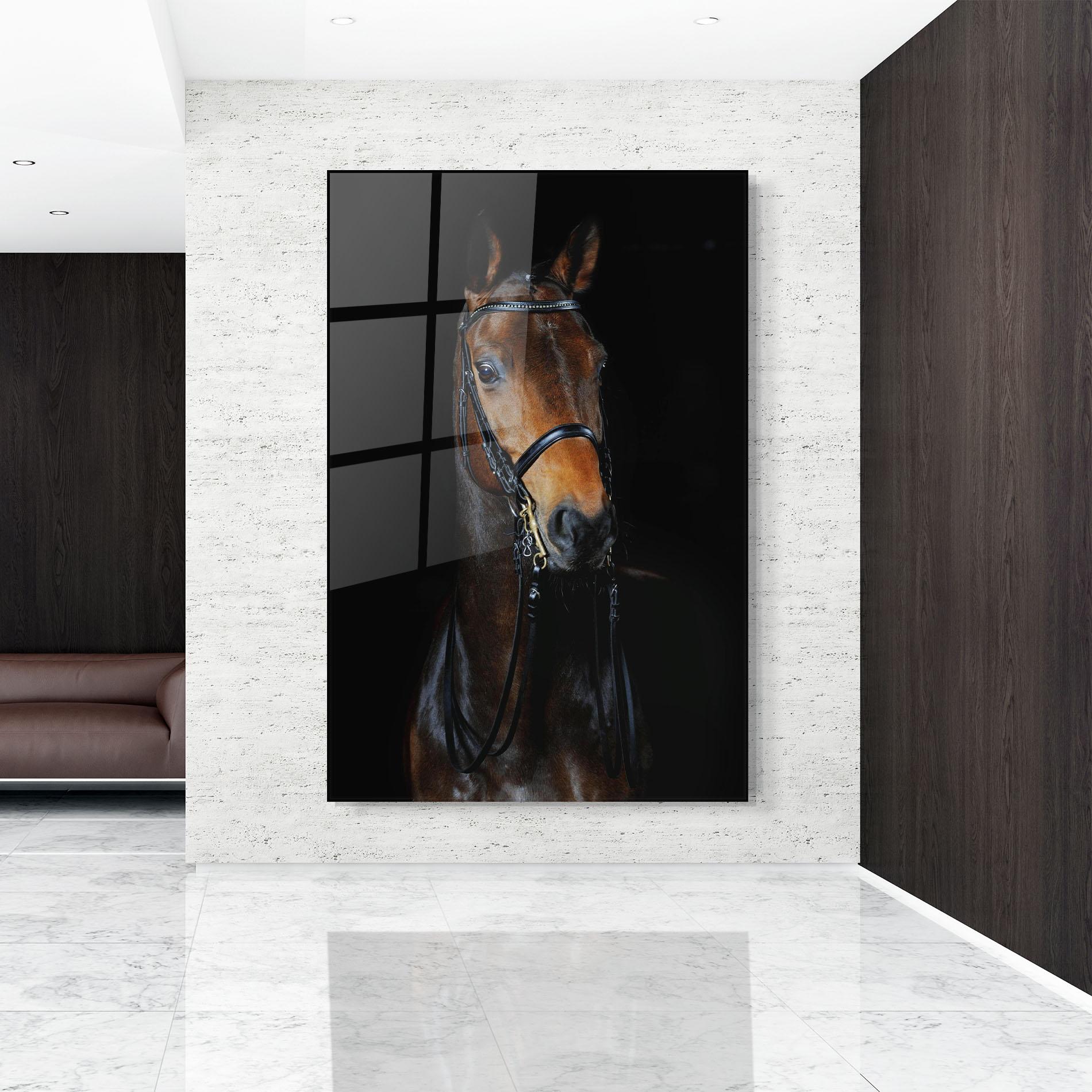 Tablou Sticla Brown Horse On Black mockup 9