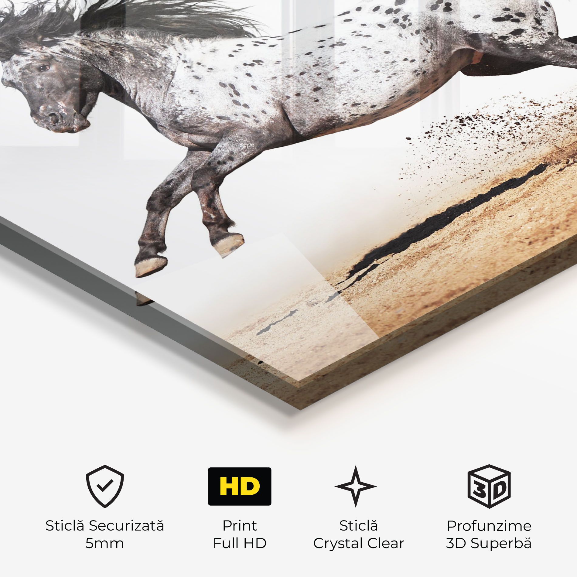 Appaloosa Horse Running mockup 3