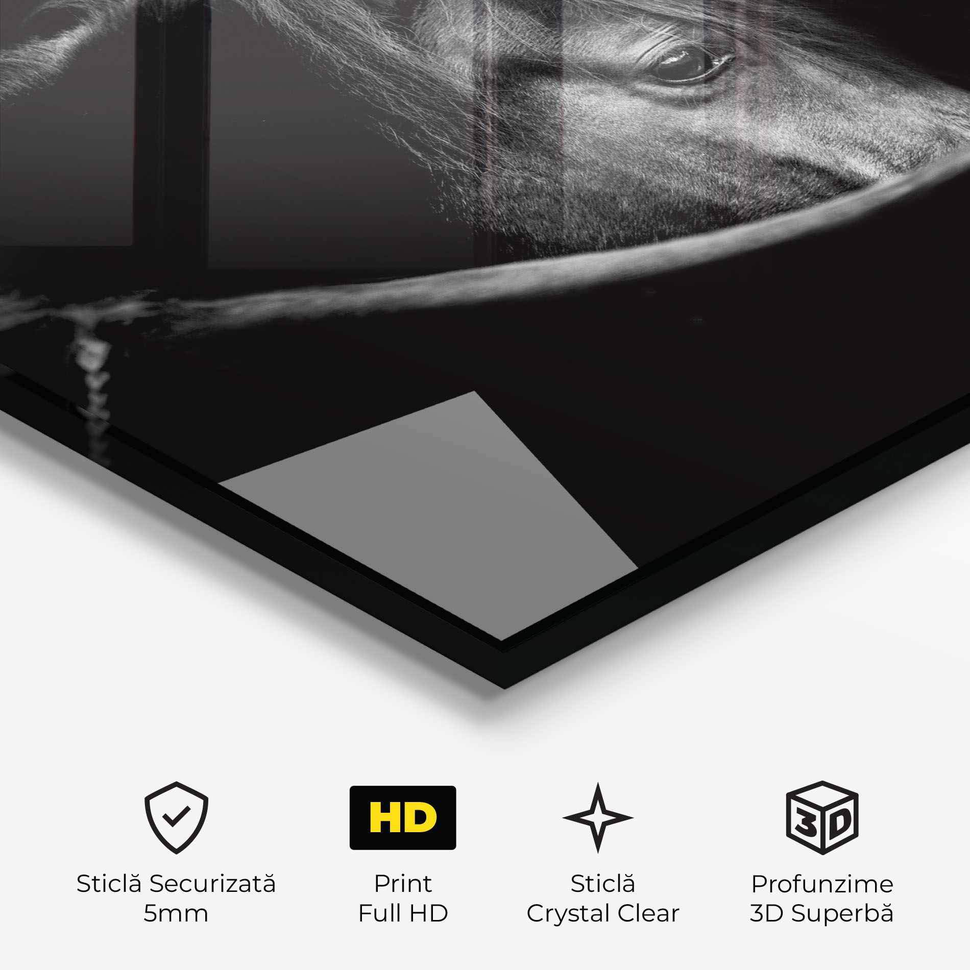 Black Horse Looking mockup 3