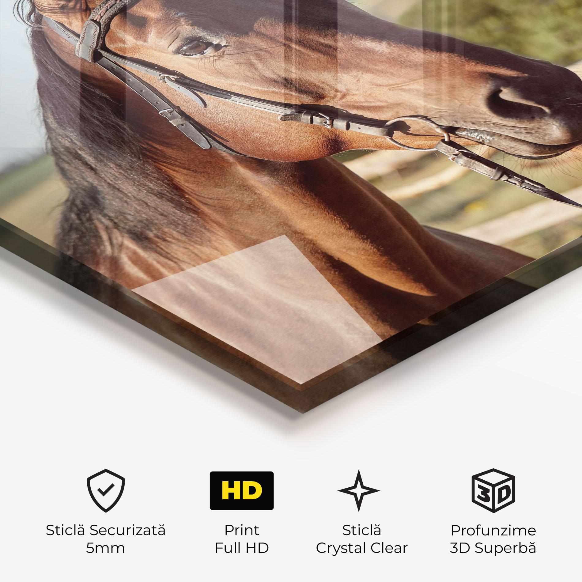 Tablou Sticla Brown Horse Close Up mockup 3