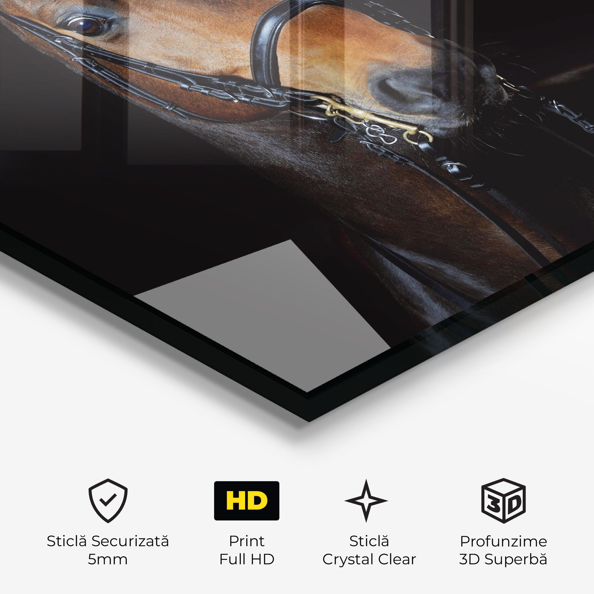 Brown Horse On Black mockup 3