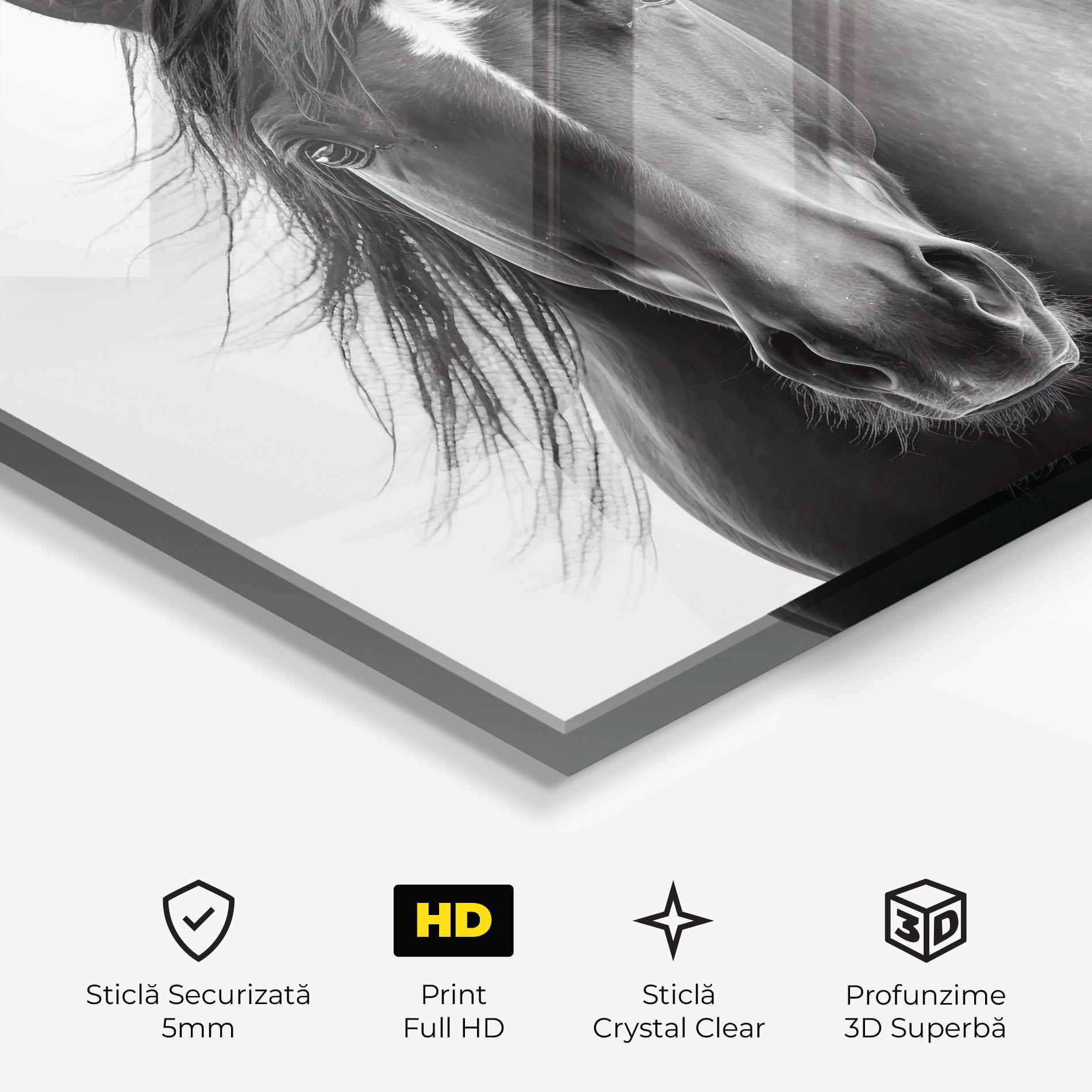 Tablou Sticla Close Up Horse mockup 3
