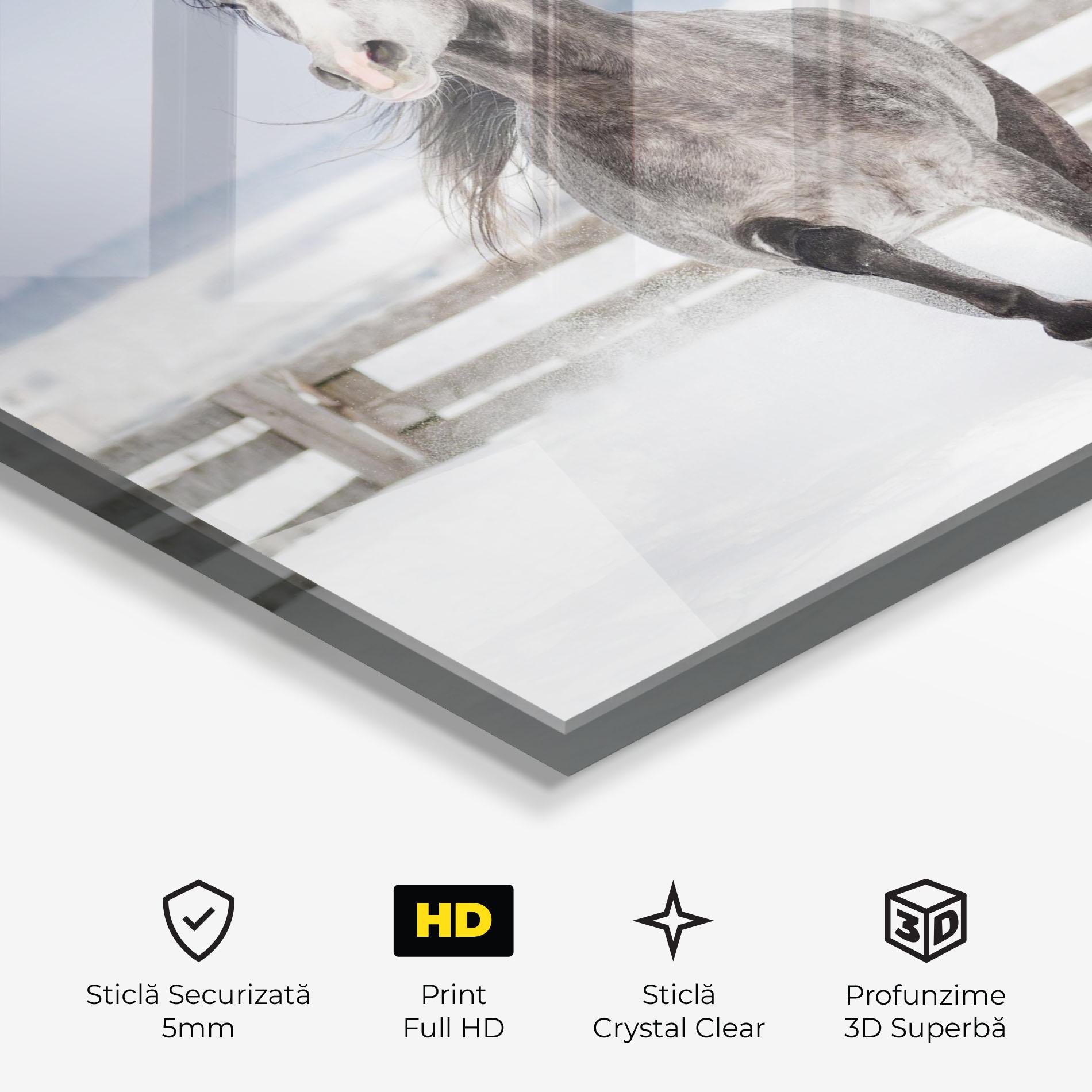 Tablou Sticla Horse Running Free mockup 3