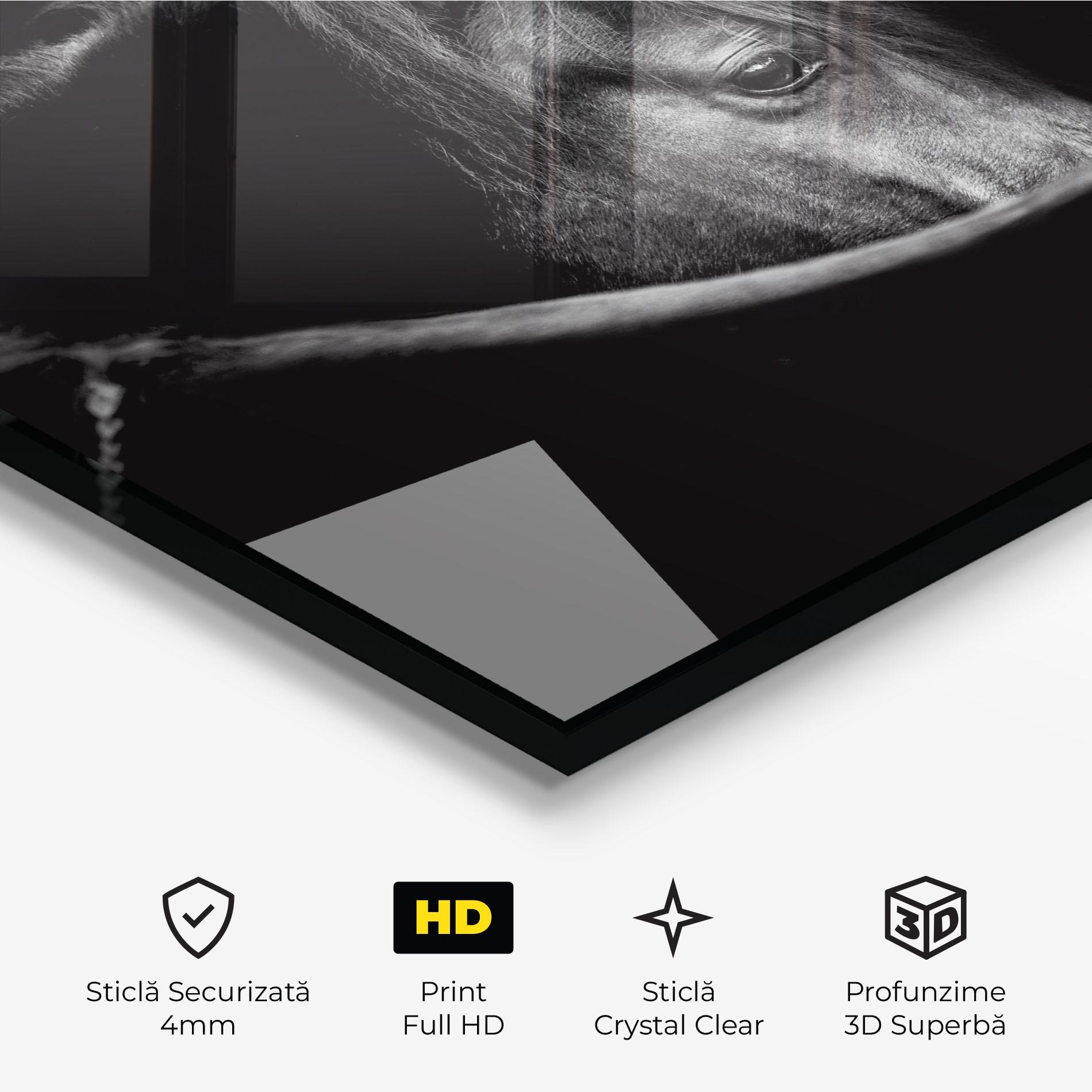 Tablou Sticla Black Horse Looking mockup 3
