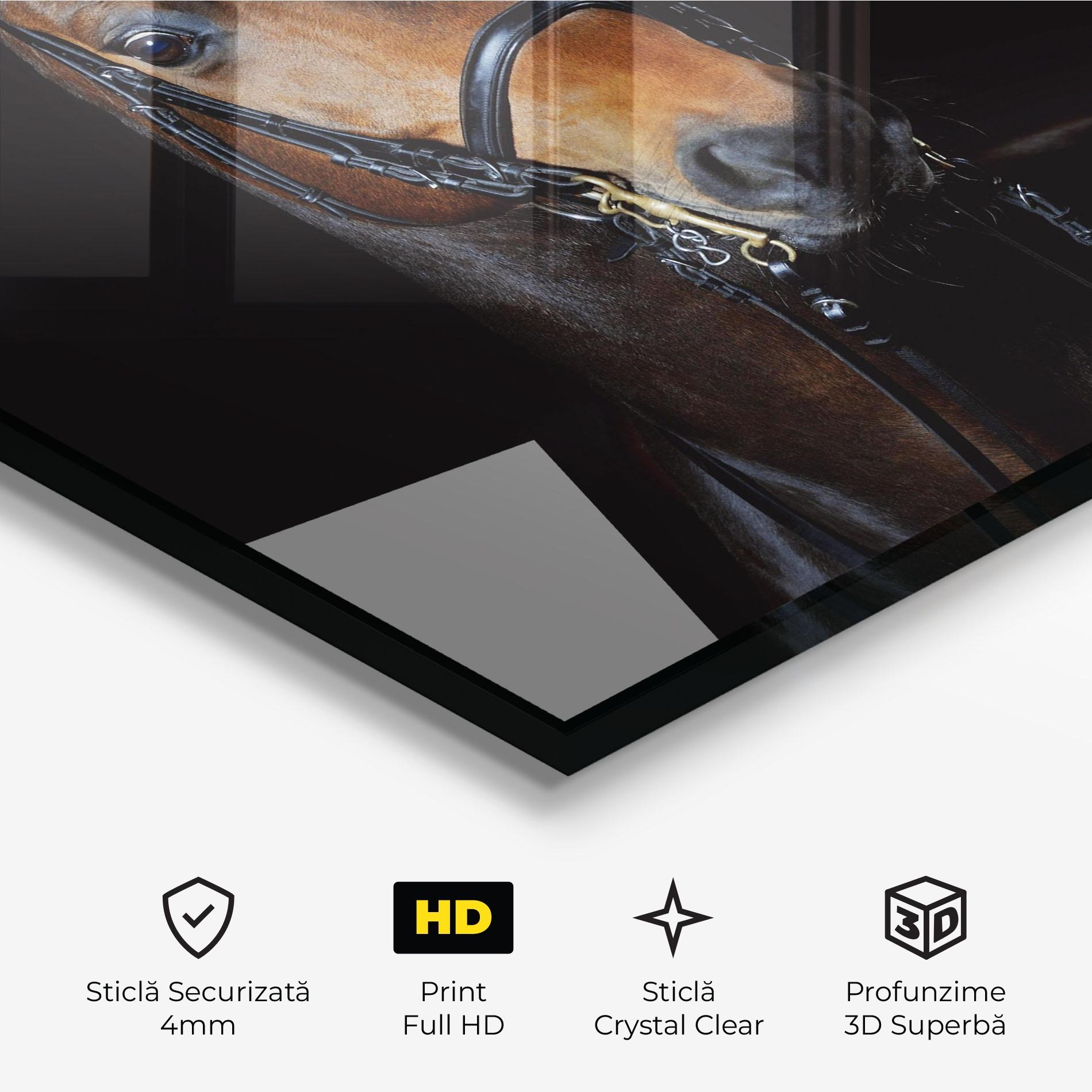 Tablou Sticla Brown Horse On Black mockup 3