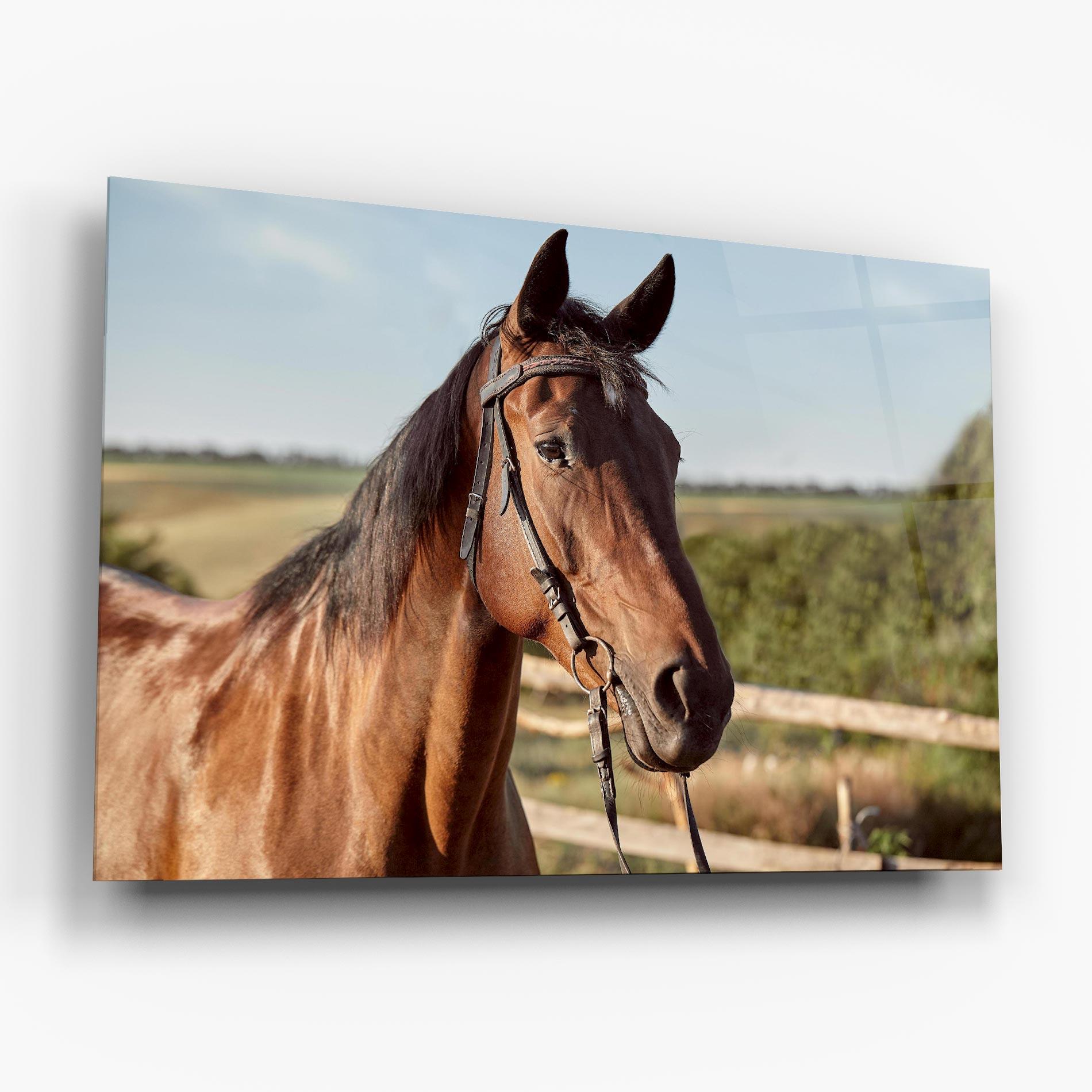 Tablou Sticla Brown Horse Close Up mockup 6